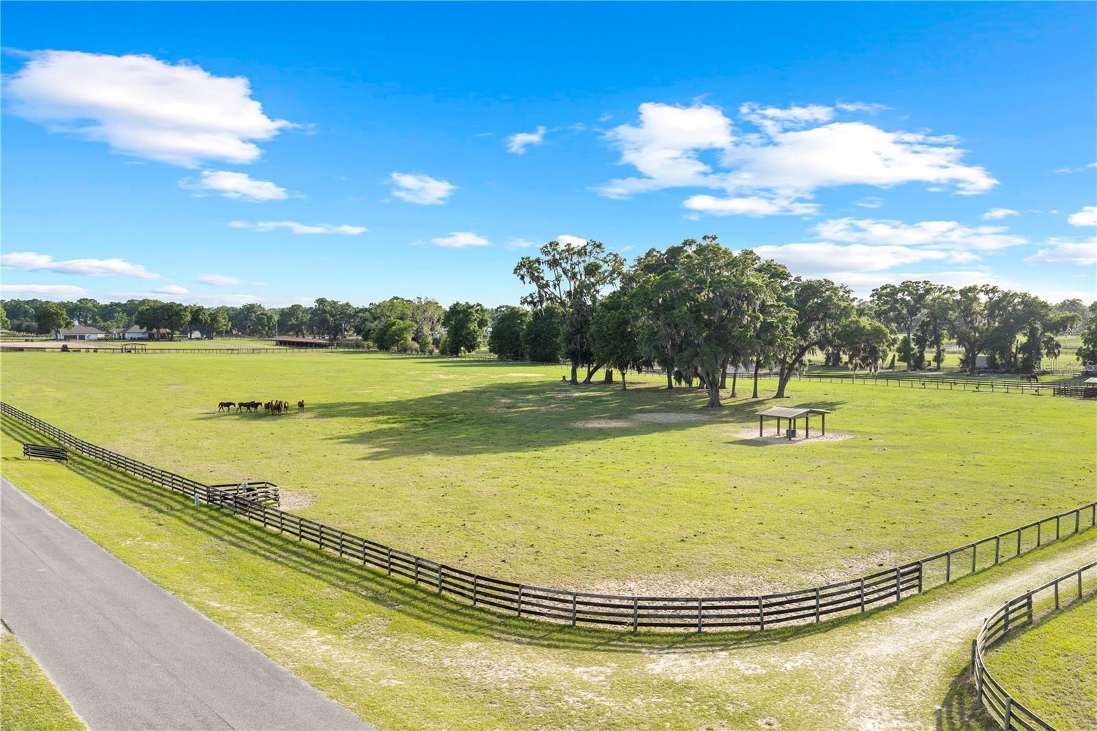 BELLEMONT FARMS - Residential