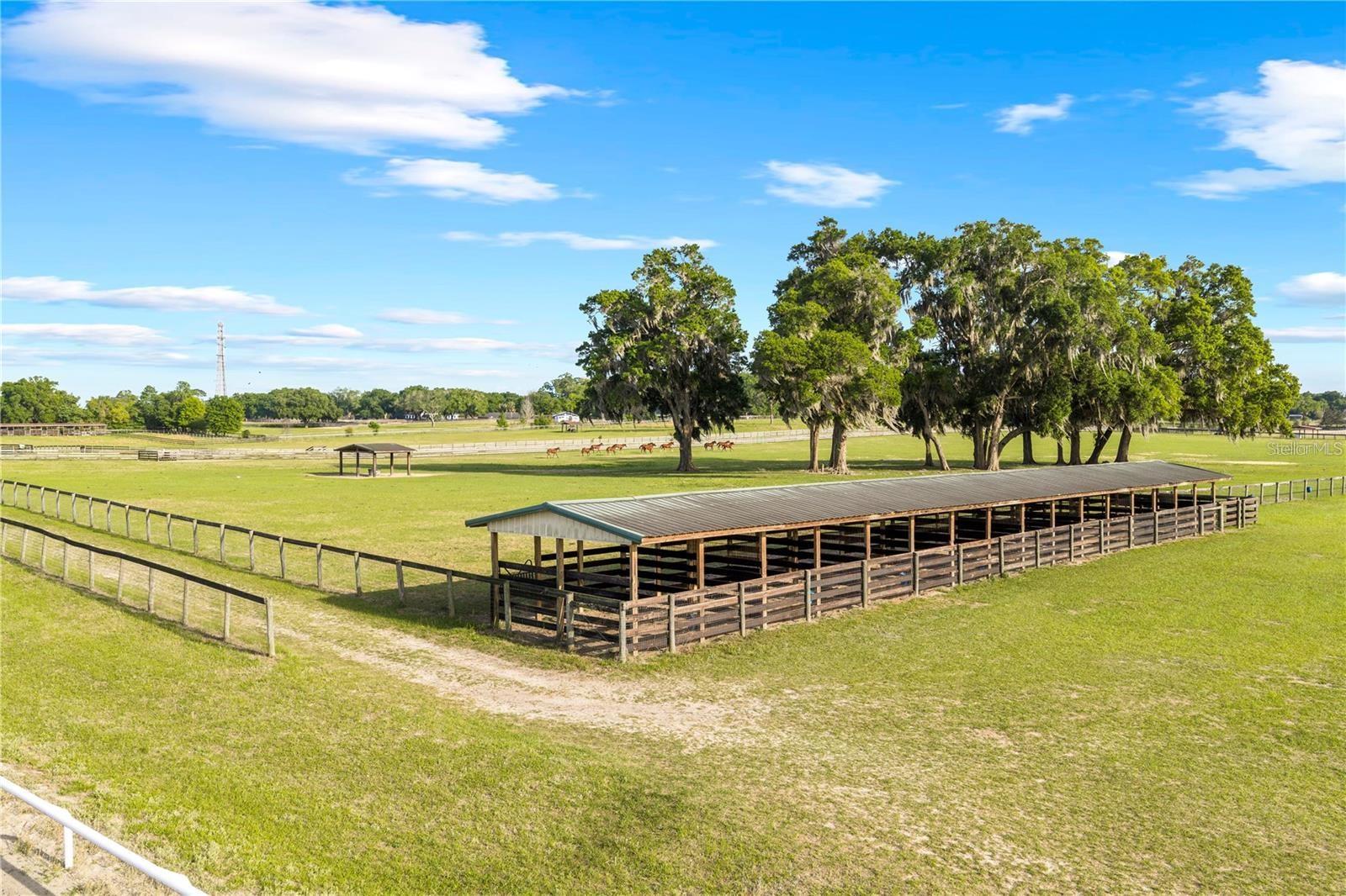 BELLEMONT FARMS - Residential