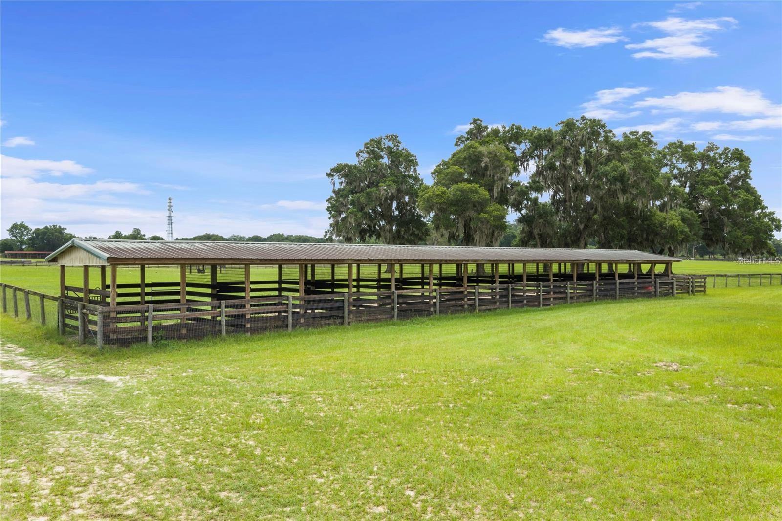 BELLEMONT FARMS - Residential