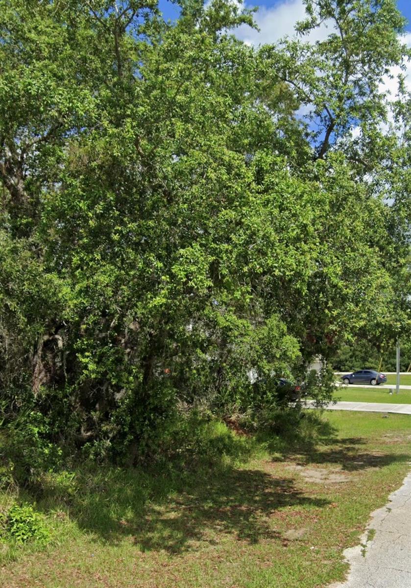 Build your dream home on this spacious 7,000 sq. ft. residential lot nestled on a quiet street in the growing Poinciana area of Kissimmee. Whether you're looking to build now or invest for the future, this property offers a fantastic opportunity in an established neighborhood. Don't miss your chance to own a piece of Central Florida and create the home you've always envisioned.
