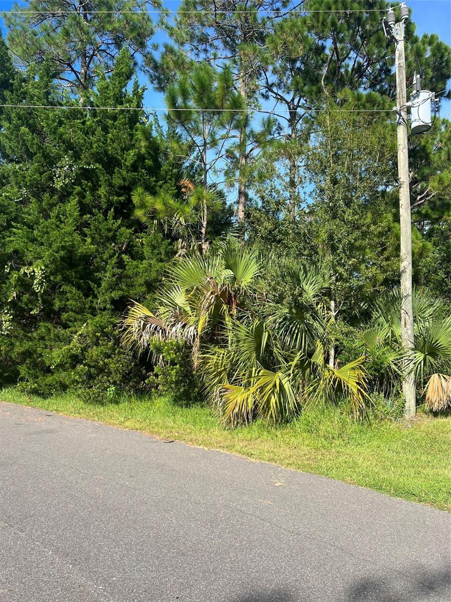 PALM COAST SEC 23 - Land