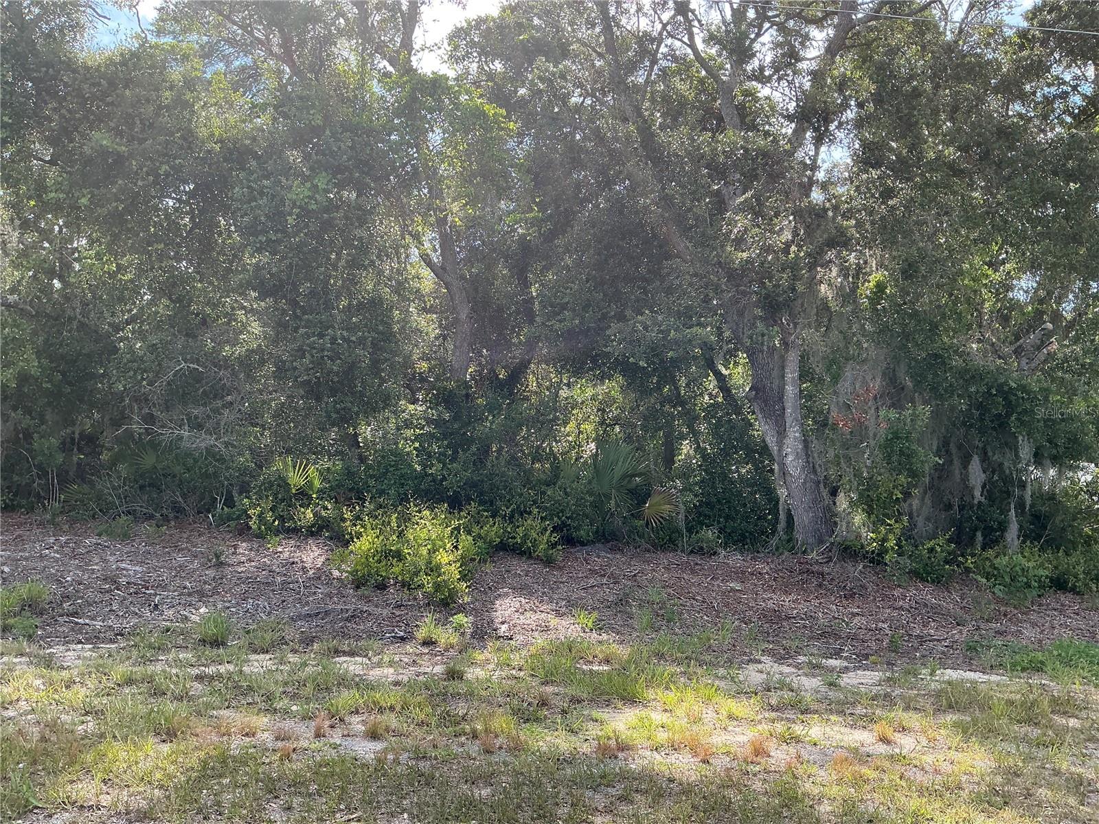 Discover the perfect place to build your dream home on this oversized 0.34-acre residential lot in the desirable Silver Springs Shores community of Ocala, Florida. Situated on a paved road with electricity available, this spacious homesite offers plenty of room for a custom home, outdoor living, and more. The property has no known environmental issues, making it an excellent choice for buyers and builders seeking a smooth path to development. Conveniently located near shopping, restaurants, schools, medical facilities, parks, golf courses, and the natural beauty of Silver Springs State Park, you'll enjoy the perfect balance of peaceful living and everyday convenience. With easy access to major highways, this oversized lot is an outstanding opportunity for your future home or investment.