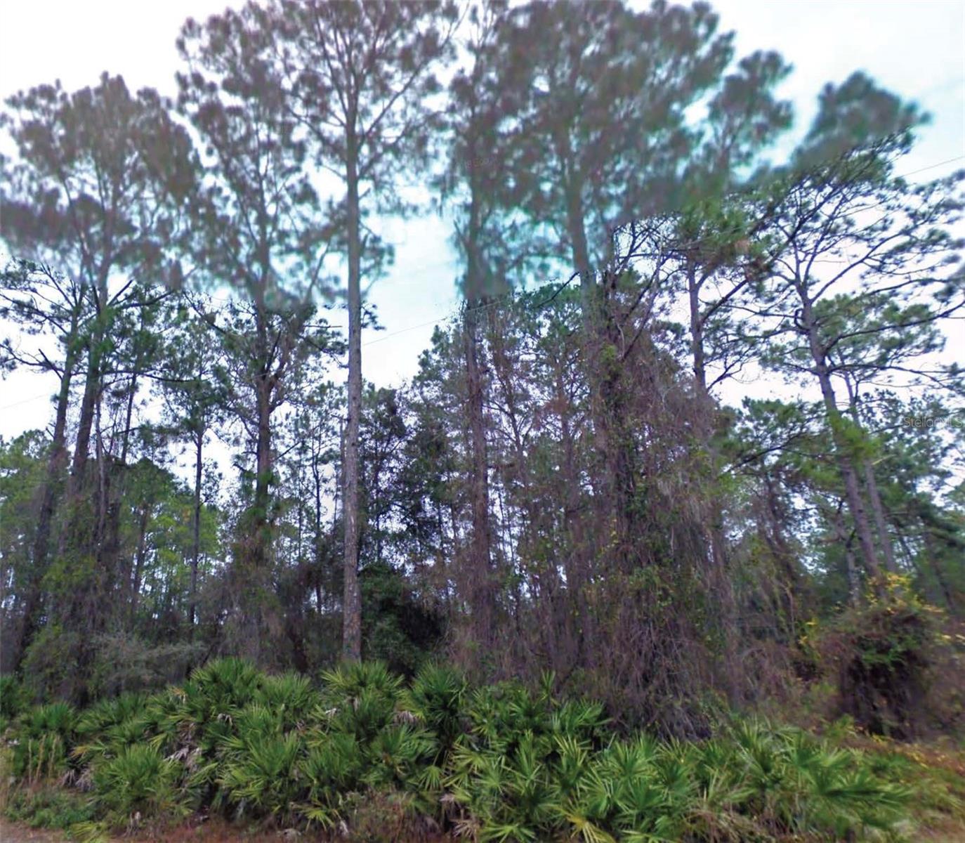Two adjacent vacant residential parcels being sold together in the Black Sink Campsites subdivision in Citra, FL. Combined lot size is approximately 0.41 acres (±18,100 SF). Each individual parcel measures approximately 80’ x 90’ and includes a private right-of-way for ingress and egress. Zoned R-4 Residential Mixed Use, offering flexibility for future development (buyer to verify). Quiet rural setting with convenient access to County Hwy 316 and Fort McCoy. No assigned street address. Survey recommended to verify boundaries, access, and buildability. Buyer to perform all due diligence regarding zoning, utilities, and intended use.
All information is deemed reliable but should be independently verified.