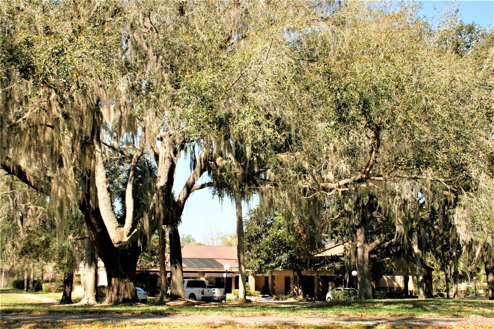 WHITE OAK VILLAGE PH 01 - Land