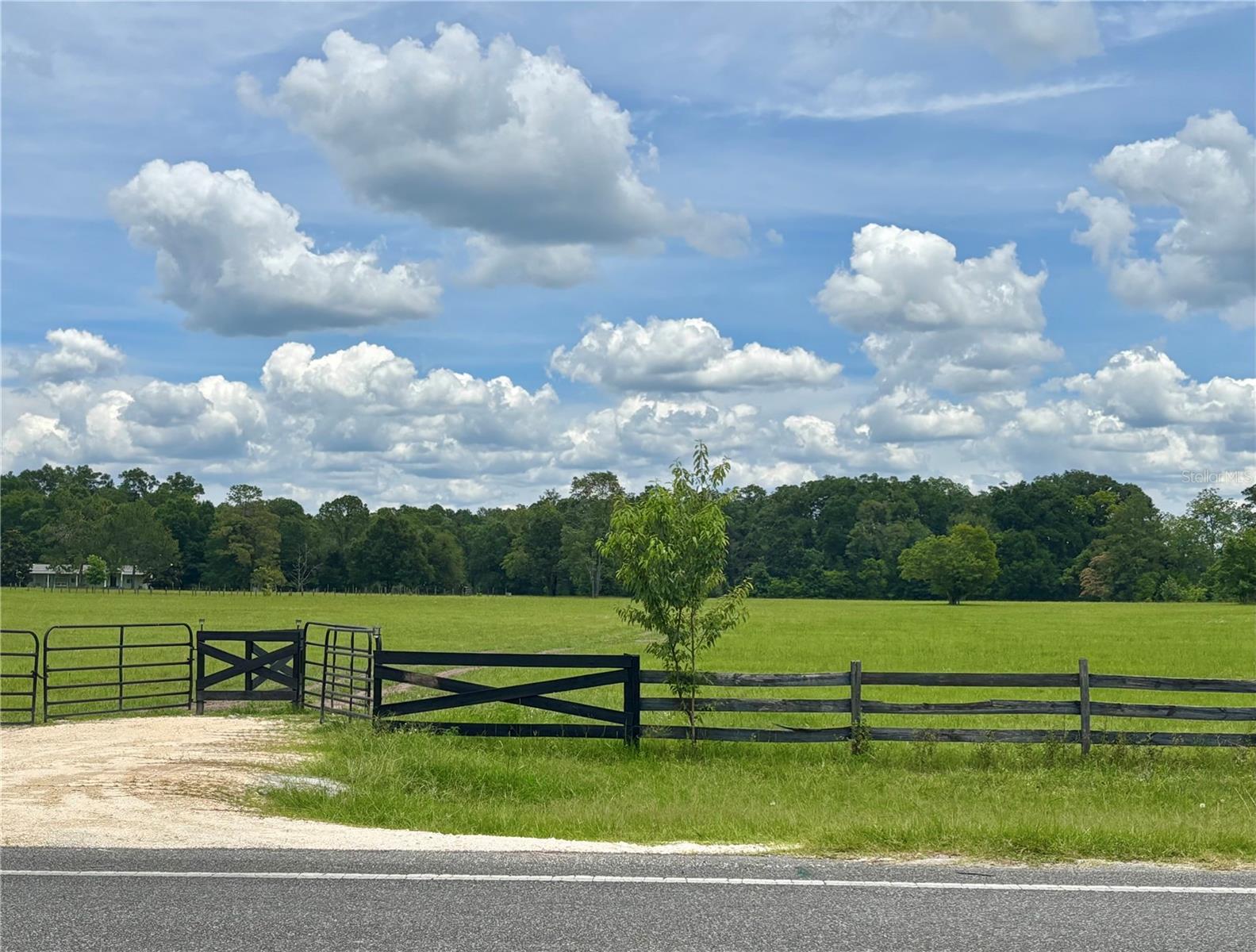 LYNDAN HILLS - Land