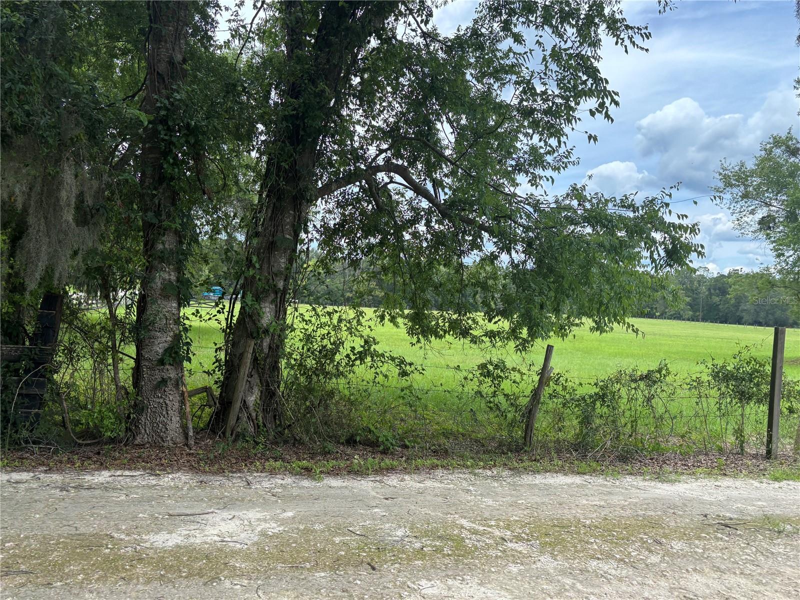 LYNDAN HILLS - Land