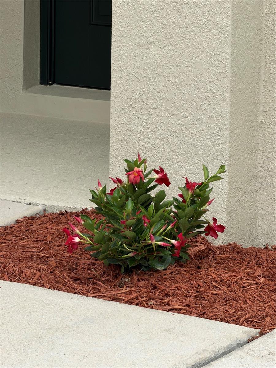 GREATER LAKES PH 4 - Residential