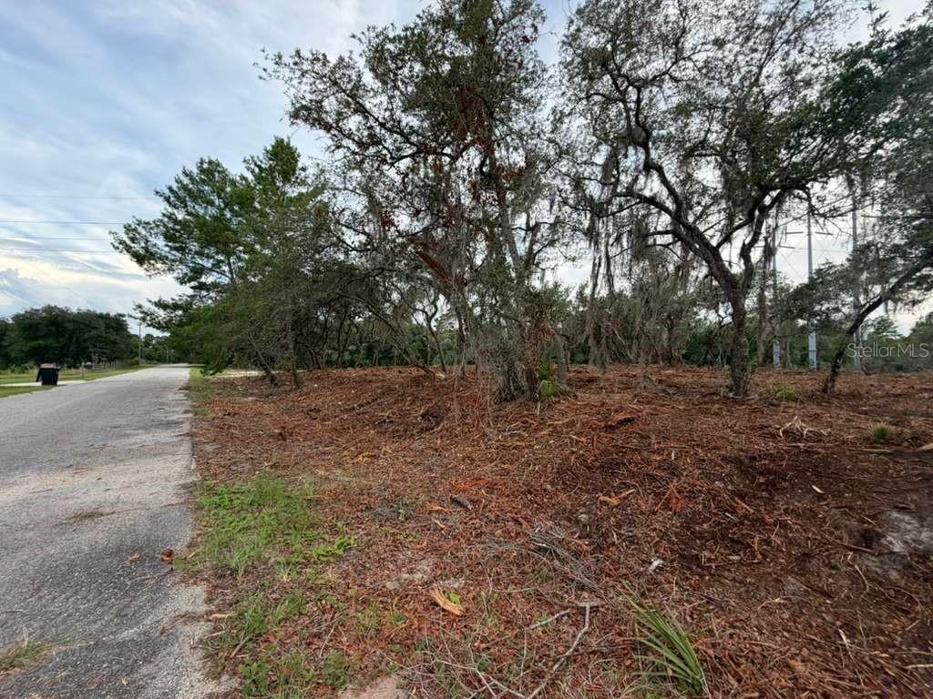 SILVER SPRINGS SHORES - Land