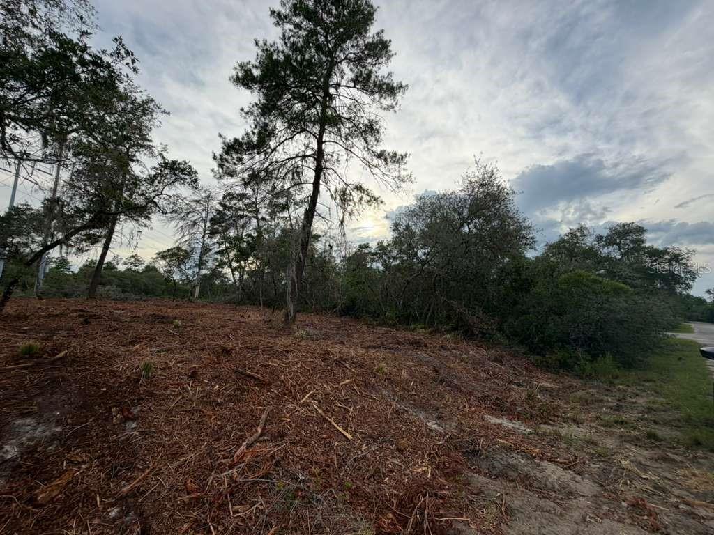 SILVER SPRINGS SHORES - Land