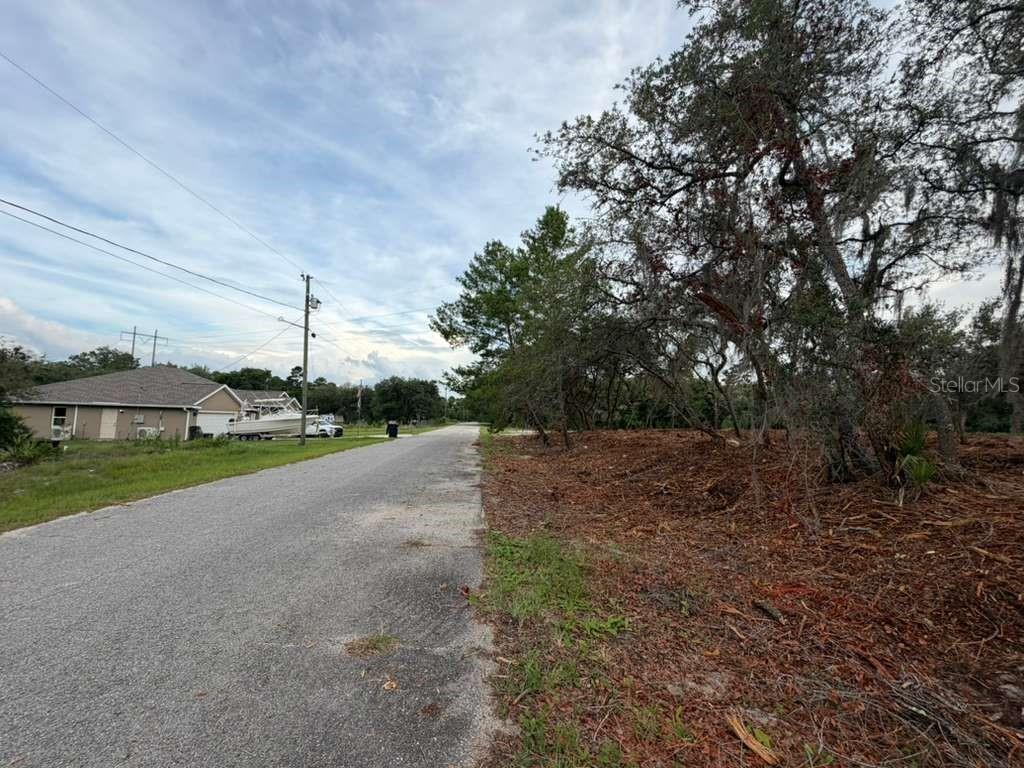 SILVER SPRINGS SHORES - Land