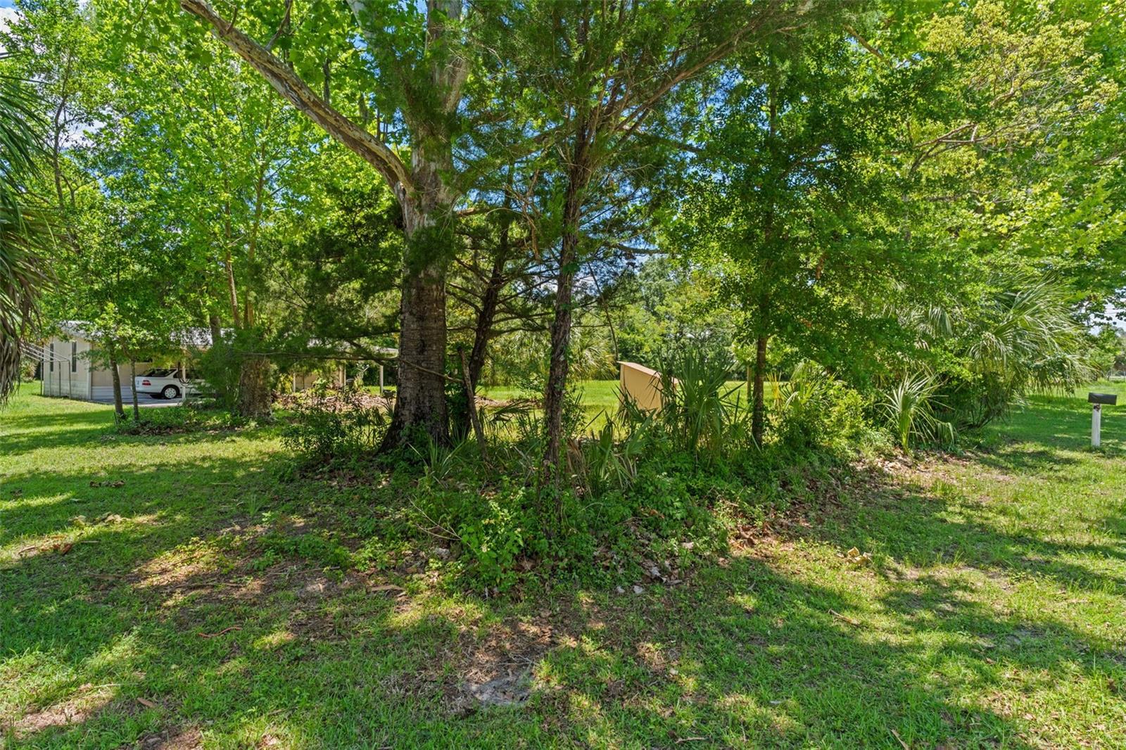 HOMOSASSA HIGHLANDS - Residential