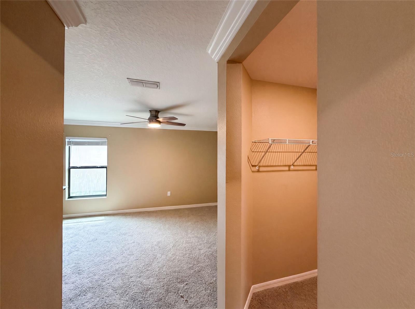 MASCOTTE LAKE JACKSON RIDGE PH 02 - Residential