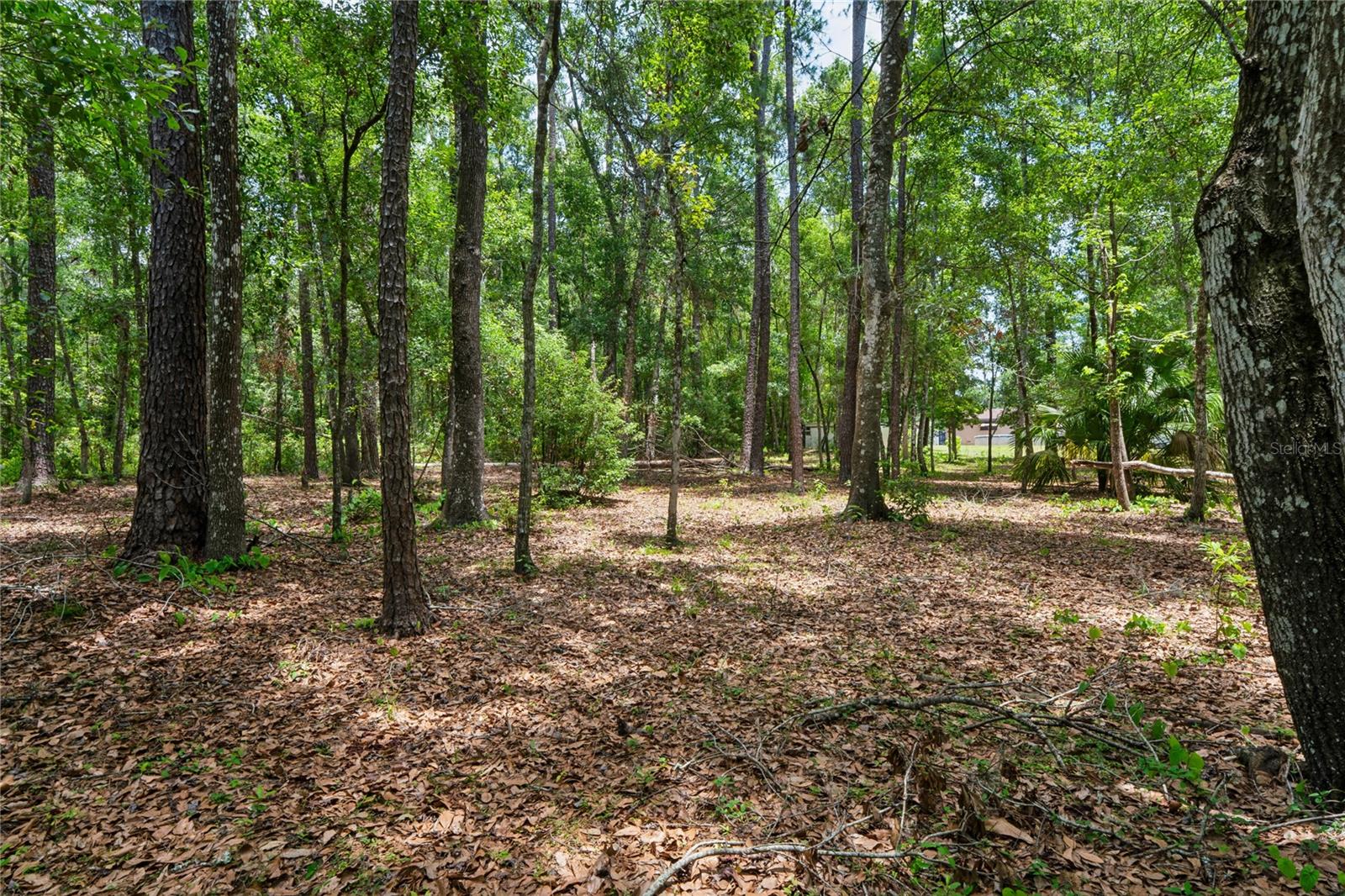 PARSONS ADD TO BROOKSVILLE - Residential