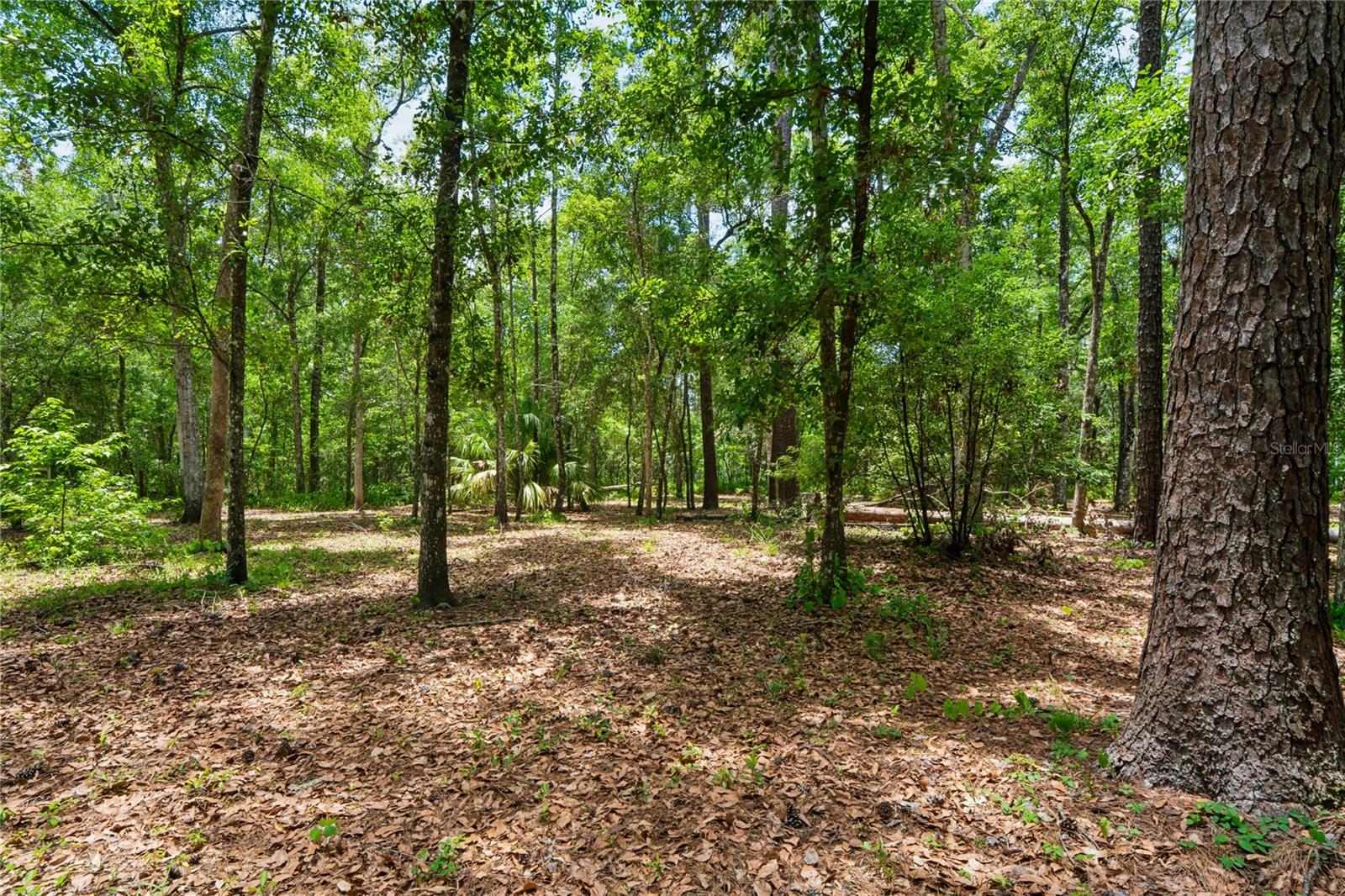 PARSONS ADD TO BROOKSVILLE - Residential