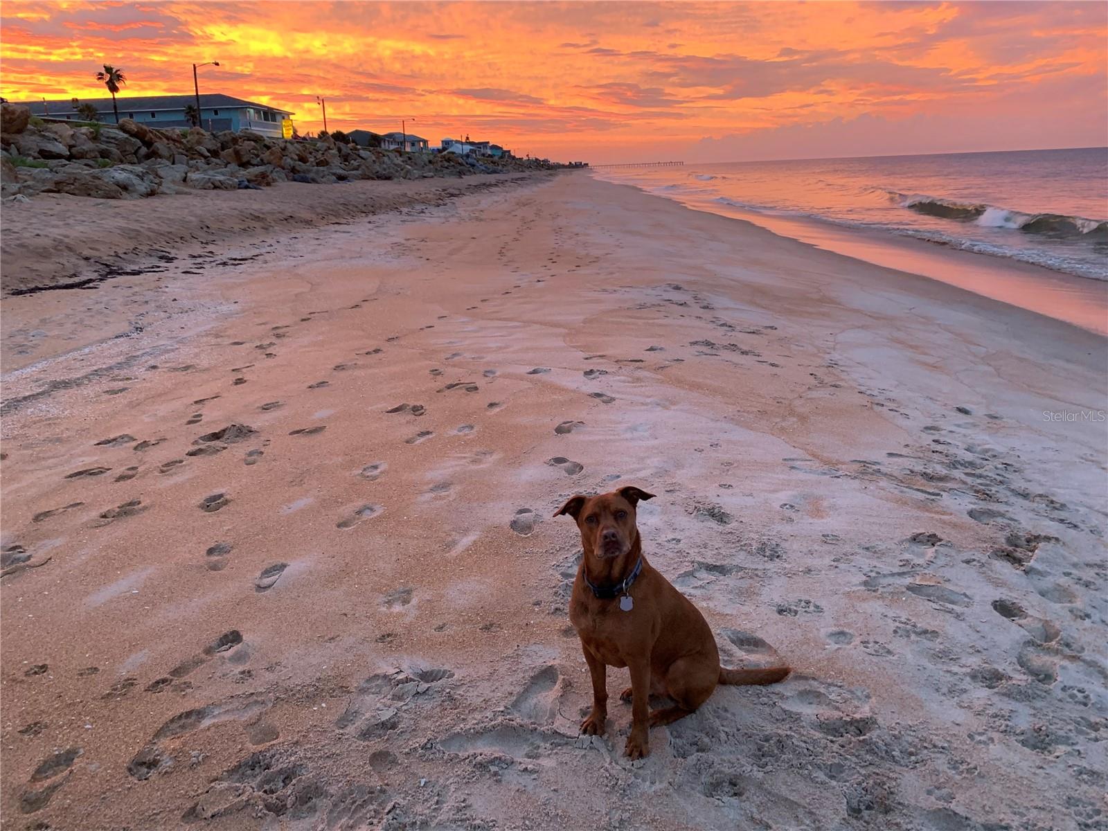 SUNRISE BEACH SUB - Land