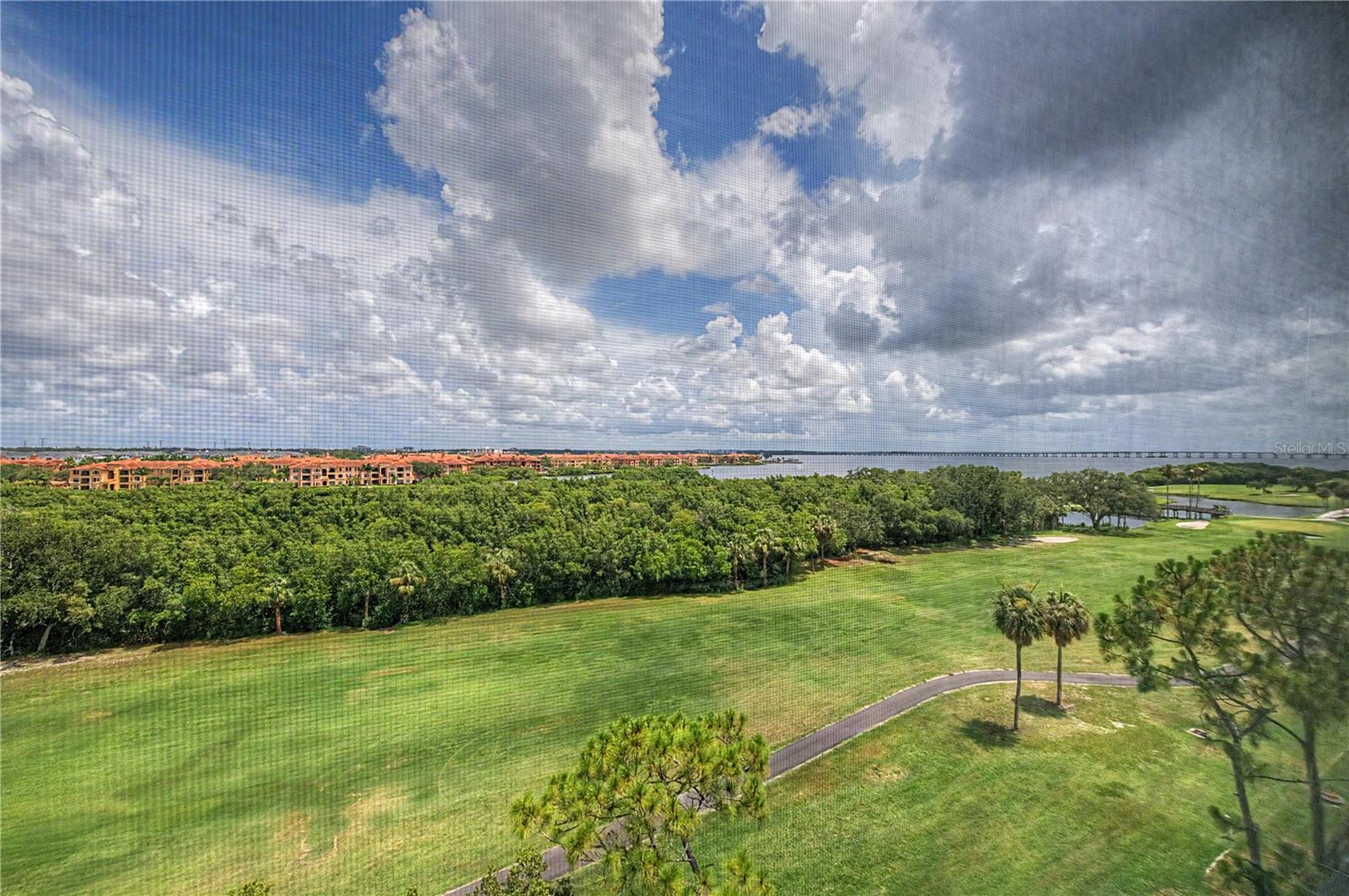 Wake up to breathtaking panoramic views from this top-floor 2-bedroom, 2-bath condominium in the highly desirable Cove Cay Village 4. From the spacious glass-enclosed and screened porch, enjoy sweeping vistas of Tampa Bay, the 9th fairway of the Cove Cay Golf Course, passing boats, and an abundance of Florida wildlife. With access from both the living room and the primary bedroom, this inviting space can be enjoyed year-round and is the perfect place to relax with your morning coffee or unwind while watching the ever-changing scenery. Inside, the bright, spacious and welcoming floor plan is enhanced by soft coastal-inspired colors, attractive laminate flooring, and window blinds throughout for comfort and privacy. The updated kitchen features beautiful cabinetry, stainless Samsung appliances, and a functional layout that's ideal for everyday living and entertaining.  And the breakfast area features a large window to enjoy viewing the outside. Both bathrooms have been tastefully updated with beautifully tiled walk-in showers accented by neutral decorative tile, tile flooring, updated toilets, and stylish finishes that provide a fresh, timeless look. A 2021 water heater adds peace of mind, while the private laundry room, complete with a Maytag washer and dryer, is conveniently located just off the porch and offers additional storage and functionality.  The covered carport keeps your vehicle protected from the Florida sun, and the condominium is being offered beautifully and fully furnished, making it a true turnkey opportunity—simply bring your suitcase and begin enjoying the Florida lifestyle from day one. This exceptional top-floor residence combines comfort, quality updates, and one of the most spectacular views in Cove Cay. Residents enjoy beautifully maintained grounds, a waterfront setting, golf, and convenient access to shopping, dining, Tampa International Airport, St. Pete–Clearwater International Airport, and the award-winning Gulf beaches. Whether you're searching for a year-round home or the perfect seasonal retreat, this move-in-ready condominium is sure to impress and is part of the Paradise known as Cove Cay.