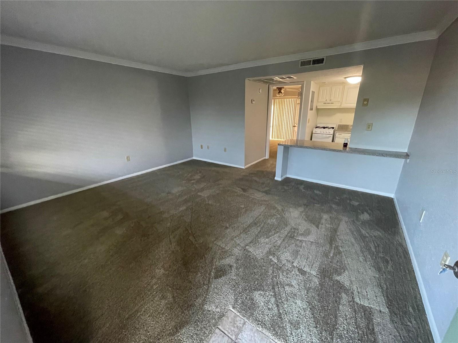 WATERSIDE AT CRANES ROOST A CONDO COMMUNITY - Residential