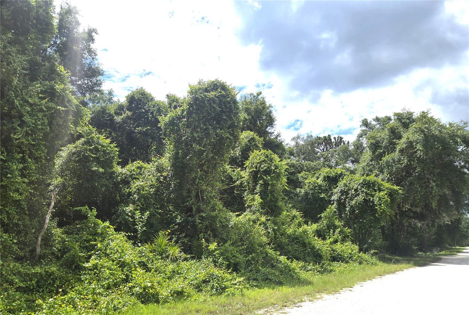 RIDGE MANOR ESTATES - Land
