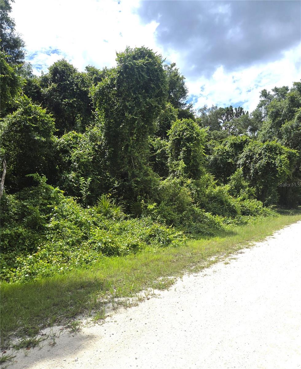 RIDGE MANOR ESTATES - Land