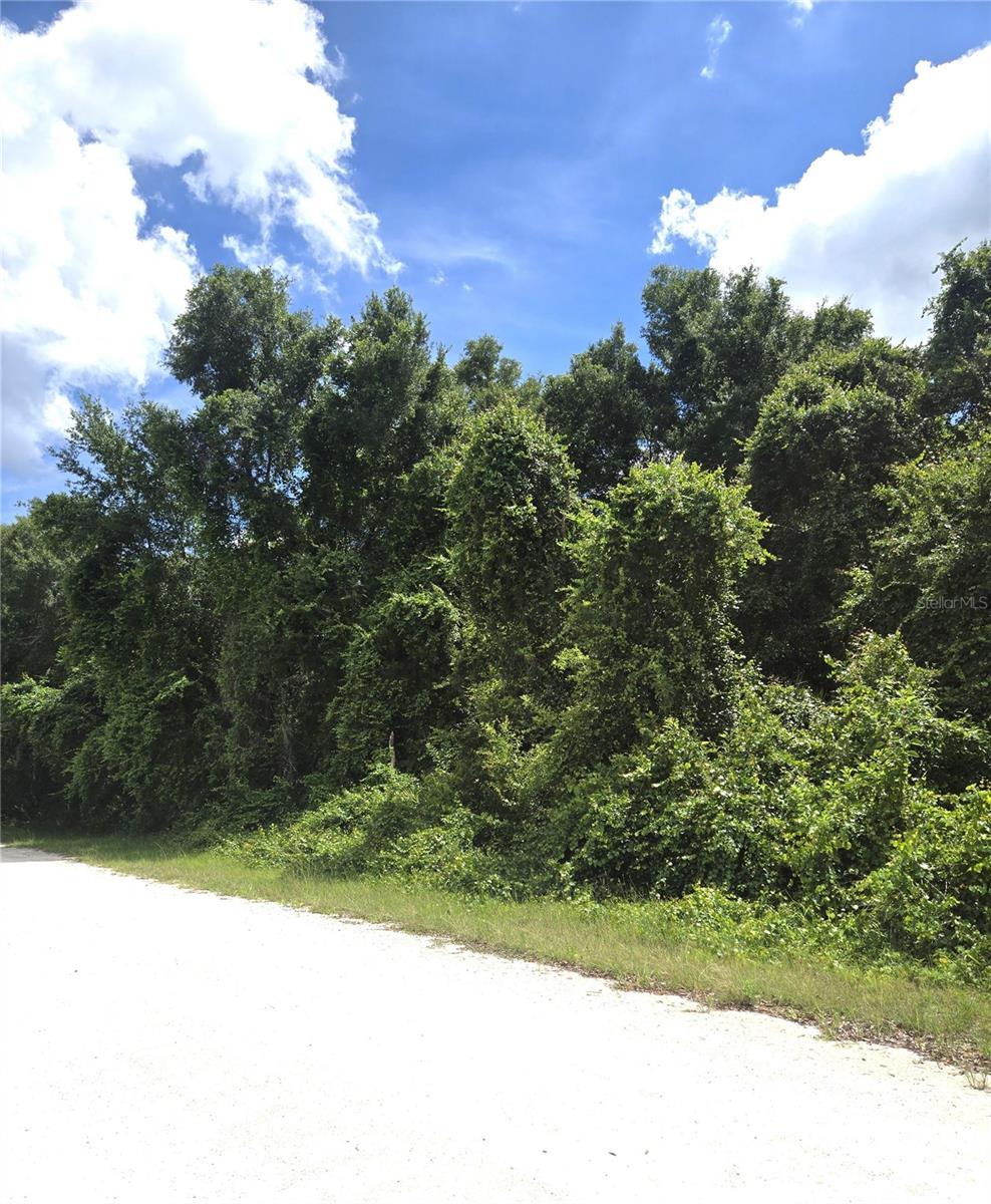 RIDGE MANOR ESTATES - Land