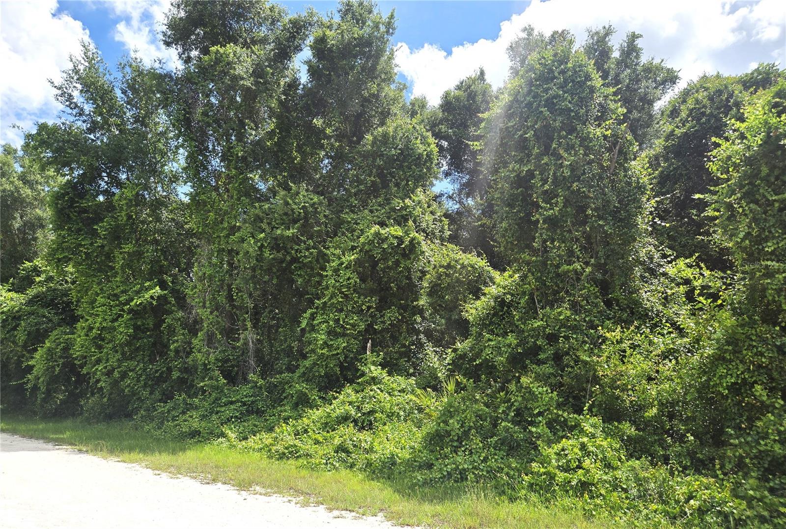 RIDGE MANOR ESTATES - Land
