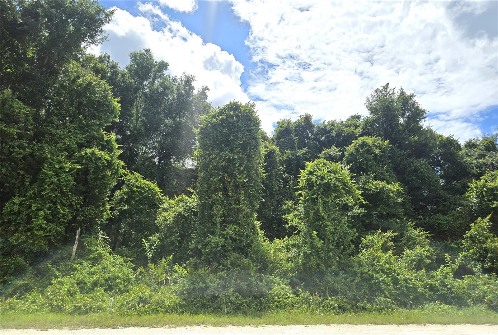 RIDGE MANOR ESTATES - Land