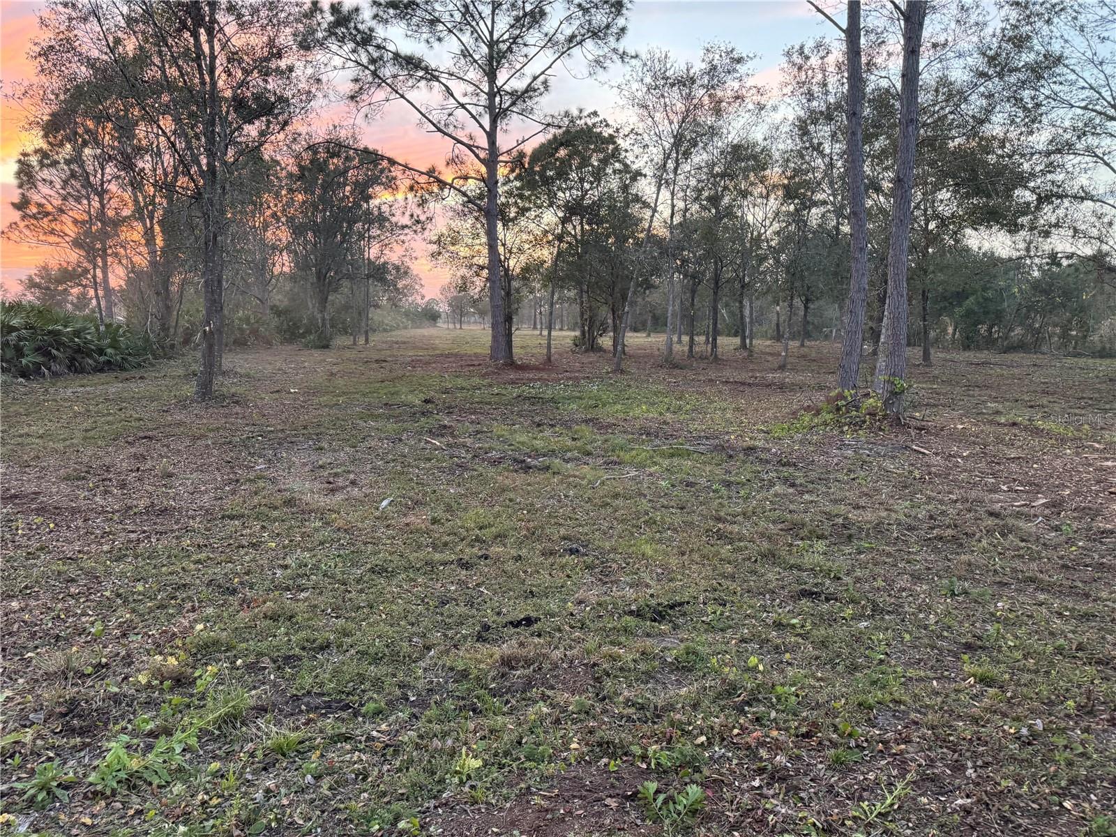Discover the perfect blend of privacy and opportunity with this beautiful 3.9-acre vacant parcel located on West Frostproof Road in Frostproof, FL. This level, buildable lot is dotted with mature trees, offering a peaceful, natural setting ideal for your dream home or private retreat.

Enjoy the freedom of NO HOA or CDD, giving you the flexibility to truly make this property your own. Zoned to allow horses and other farm animals, this land is perfect for those seeking a rural lifestyle with room to roam.

The property is not located in a flood zone, adding peace of mind as you plan your build. With paved road frontage and convenient access to Highway 98 and Highway 27, you’ll have an easy commute while still enjoying the tranquility of country living.

Bring your builder and vision—this property will require a well and septic system, making it a blank canvas ready for customization.

This is a rare opportunity to own nearly 4 acres of usable land in desirable Polk County.