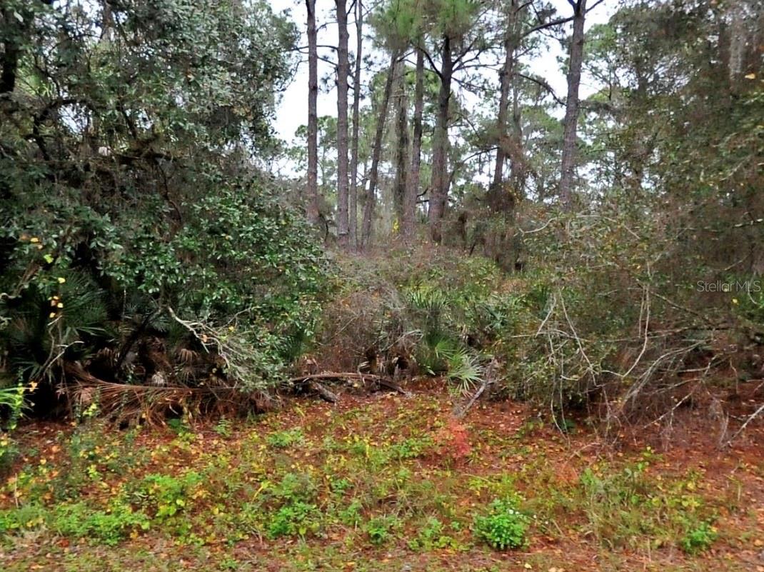 Excellent opportunity to own vacant land in North Port, one of Southwest Florida’s fastest-growing areas. Close to schools, shopping, dining, and main roadways, with no HOA or deed restrictions. A great addition to any portfolio.
