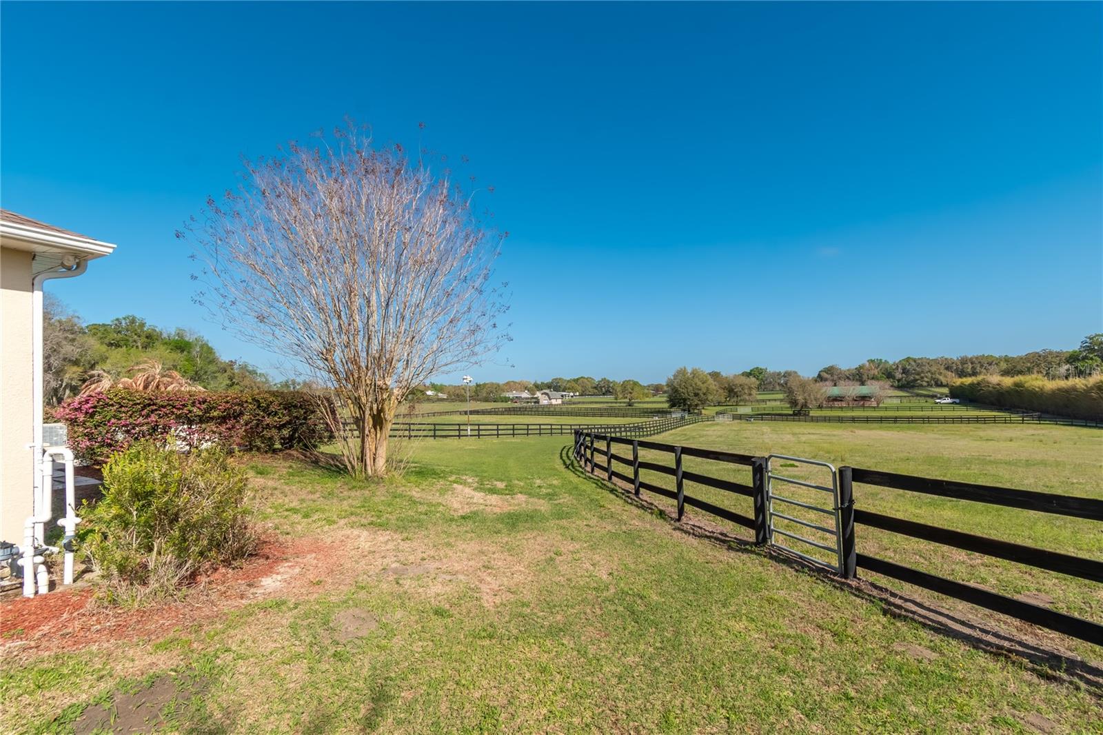 GOLDEN FARMS - Residential