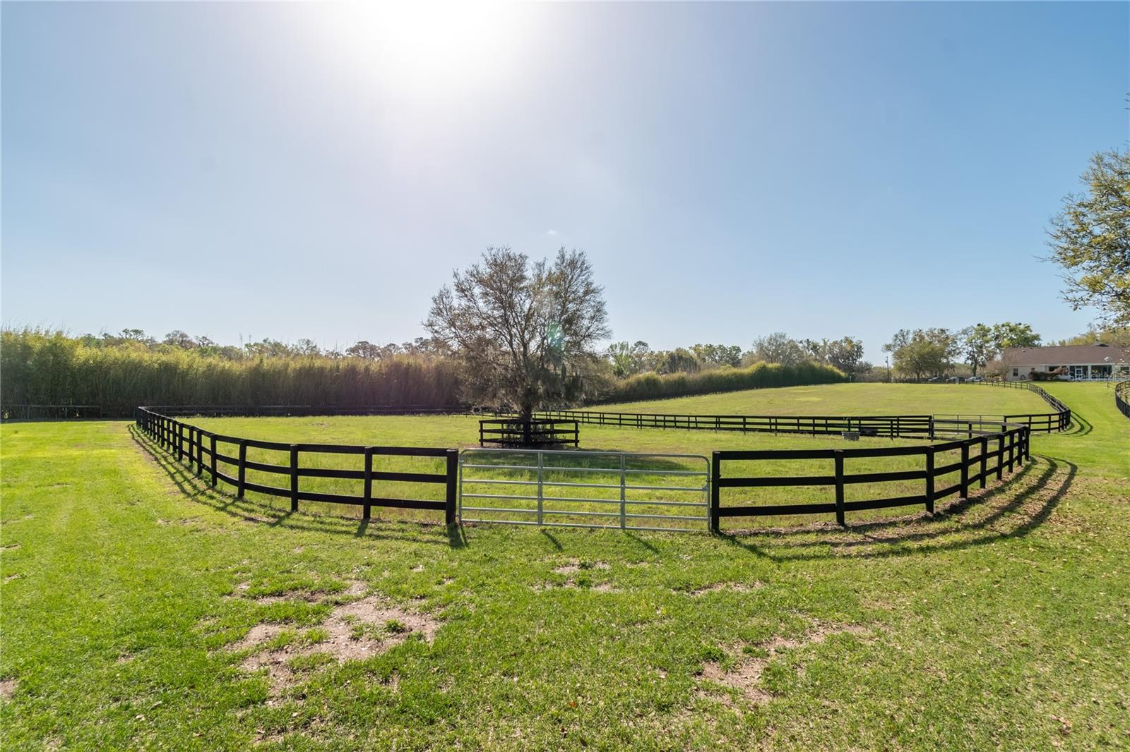 GOLDEN FARMS - Residential