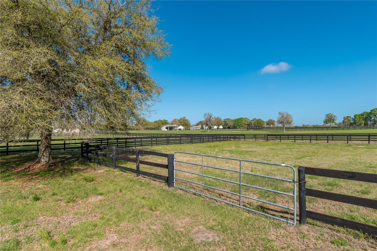 GOLDEN FARMS - Residential