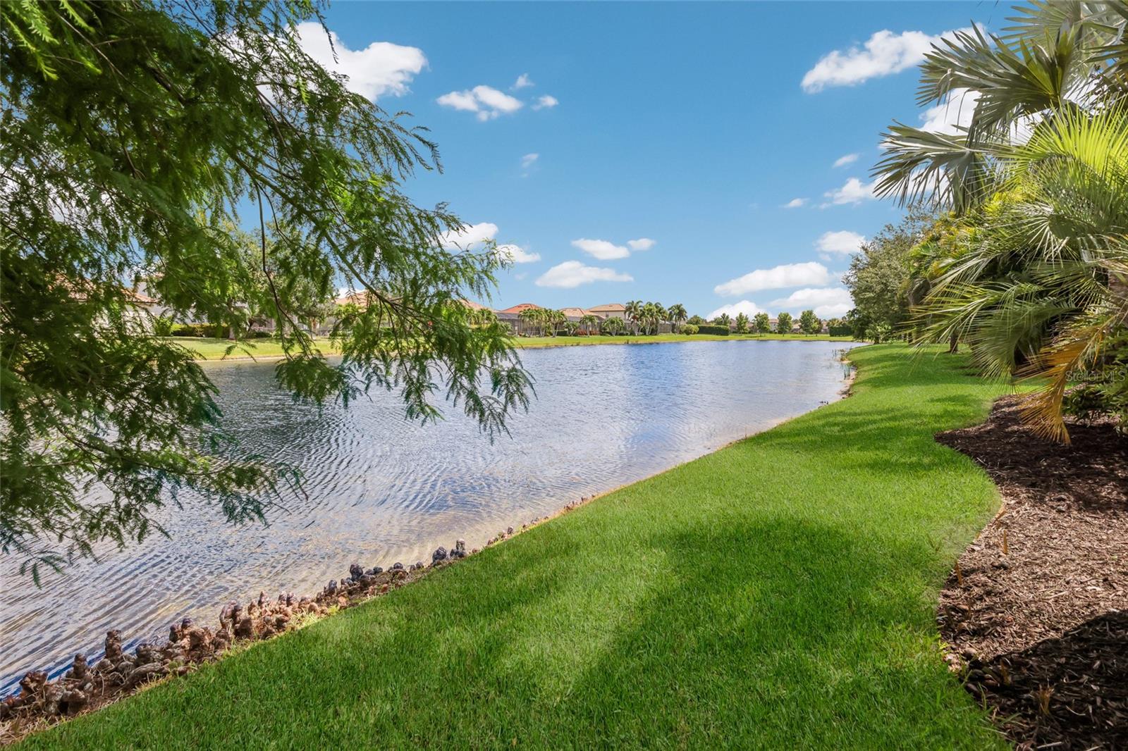 BRIDGEWATER PH I AT LAKEWOOD RANCH - Residential