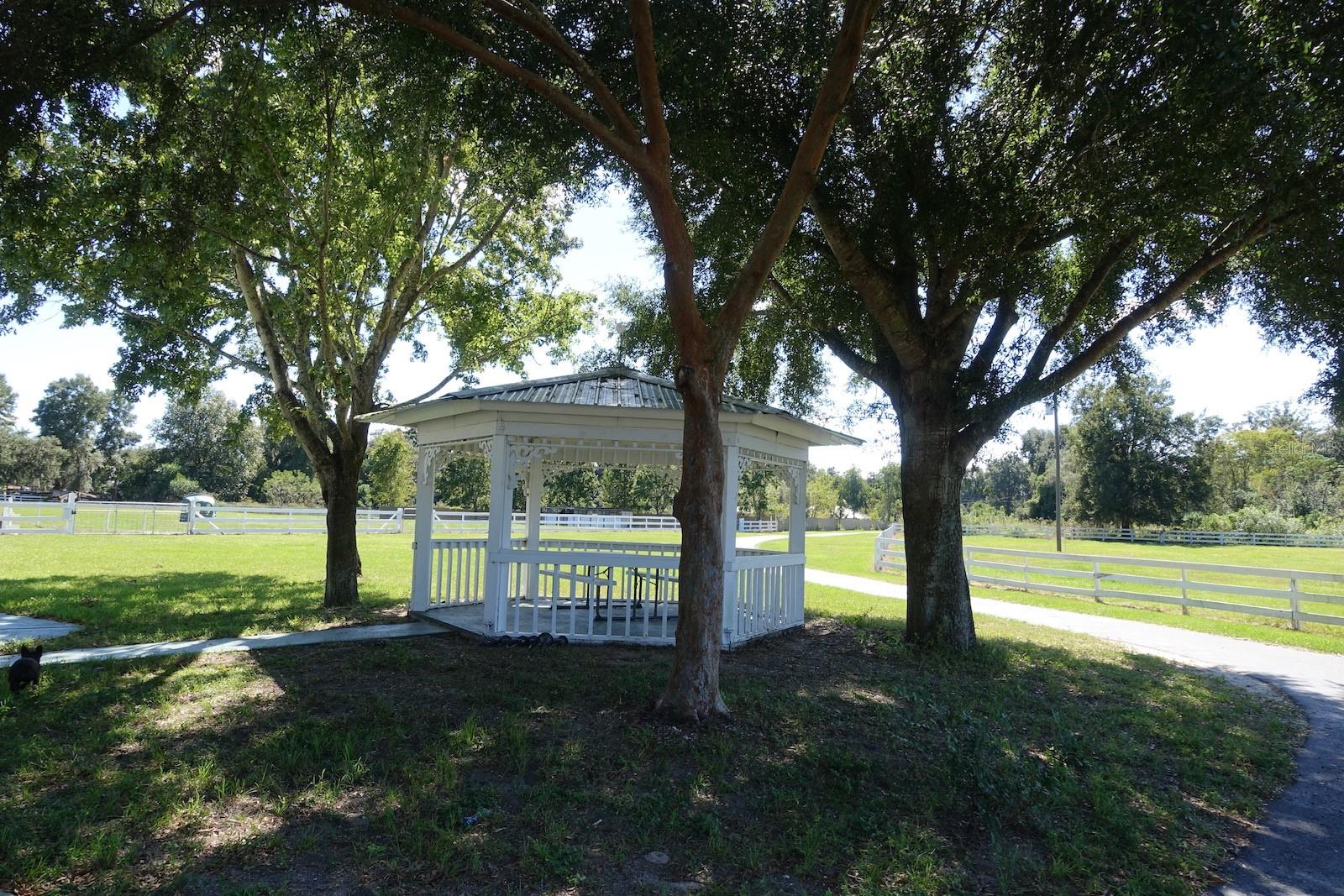 SUMMERFIELD - Farm