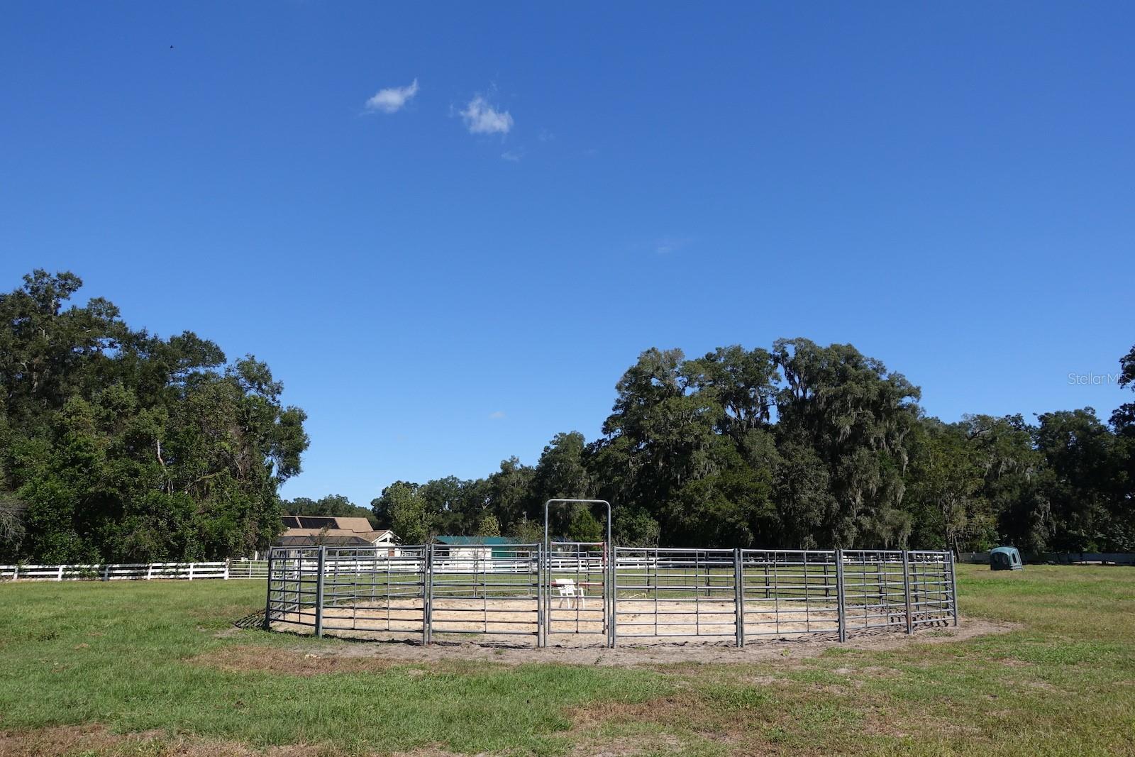 SUMMERFIELD - Farm