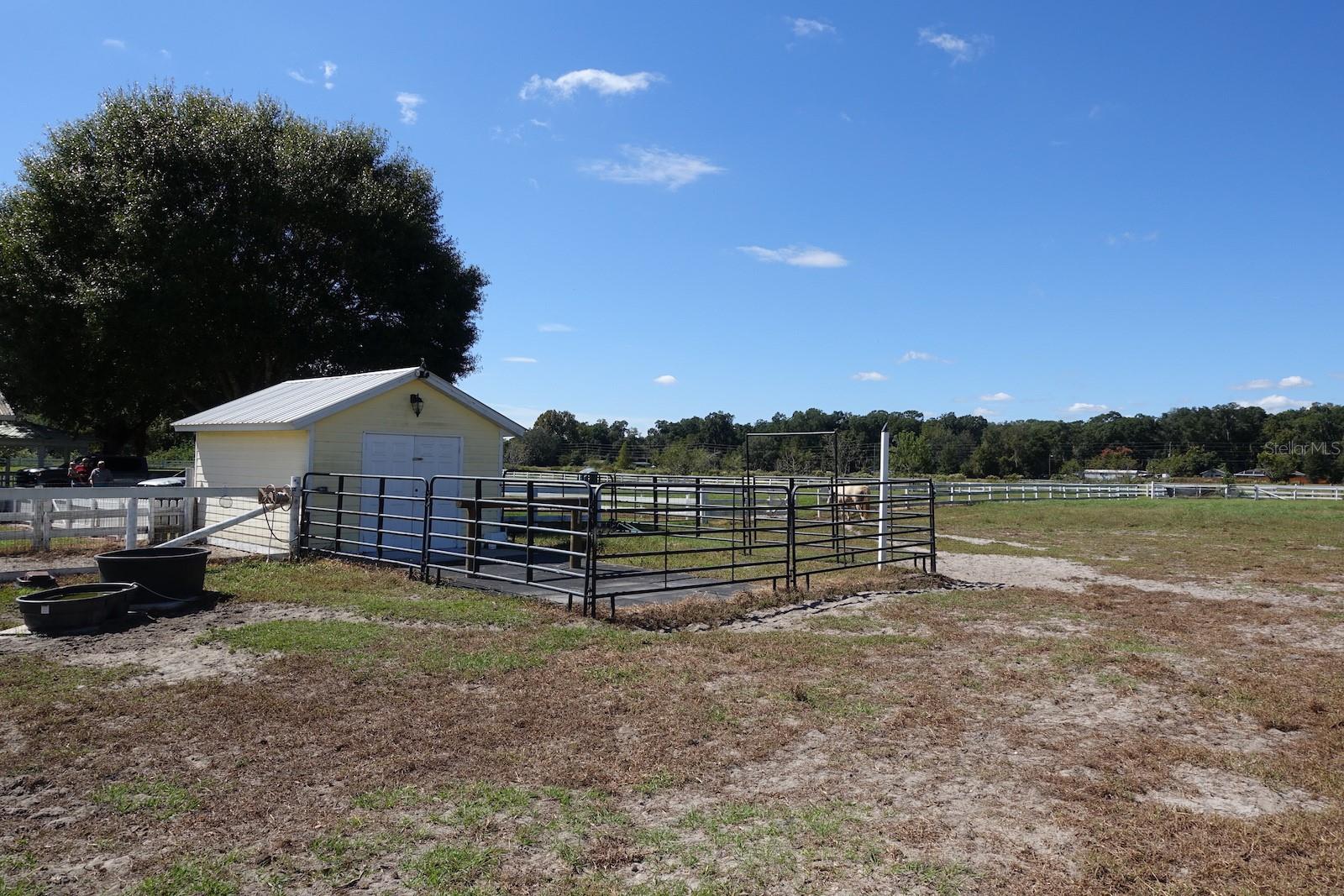SUMMERFIELD - Farm