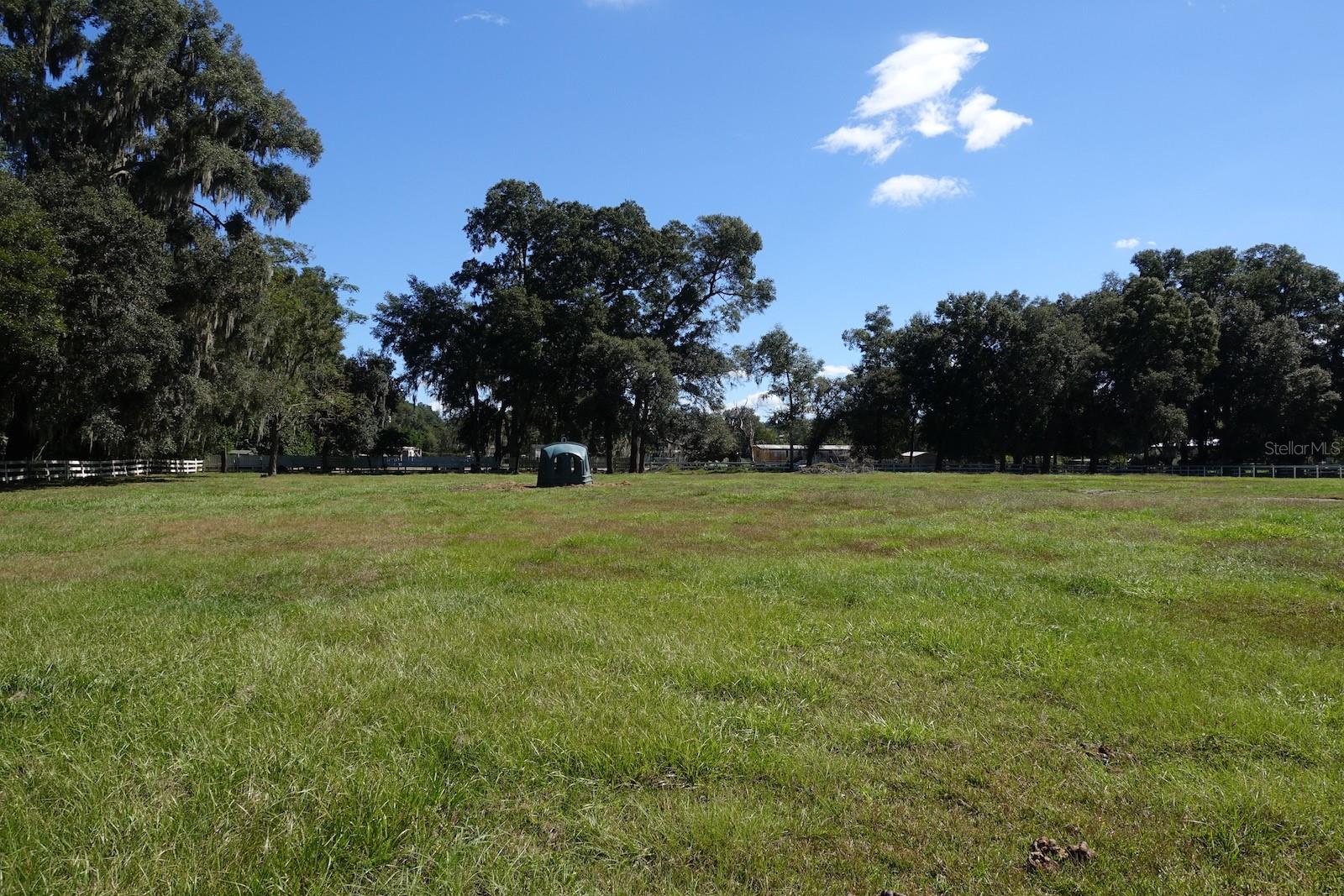 SUMMERFIELD - Farm