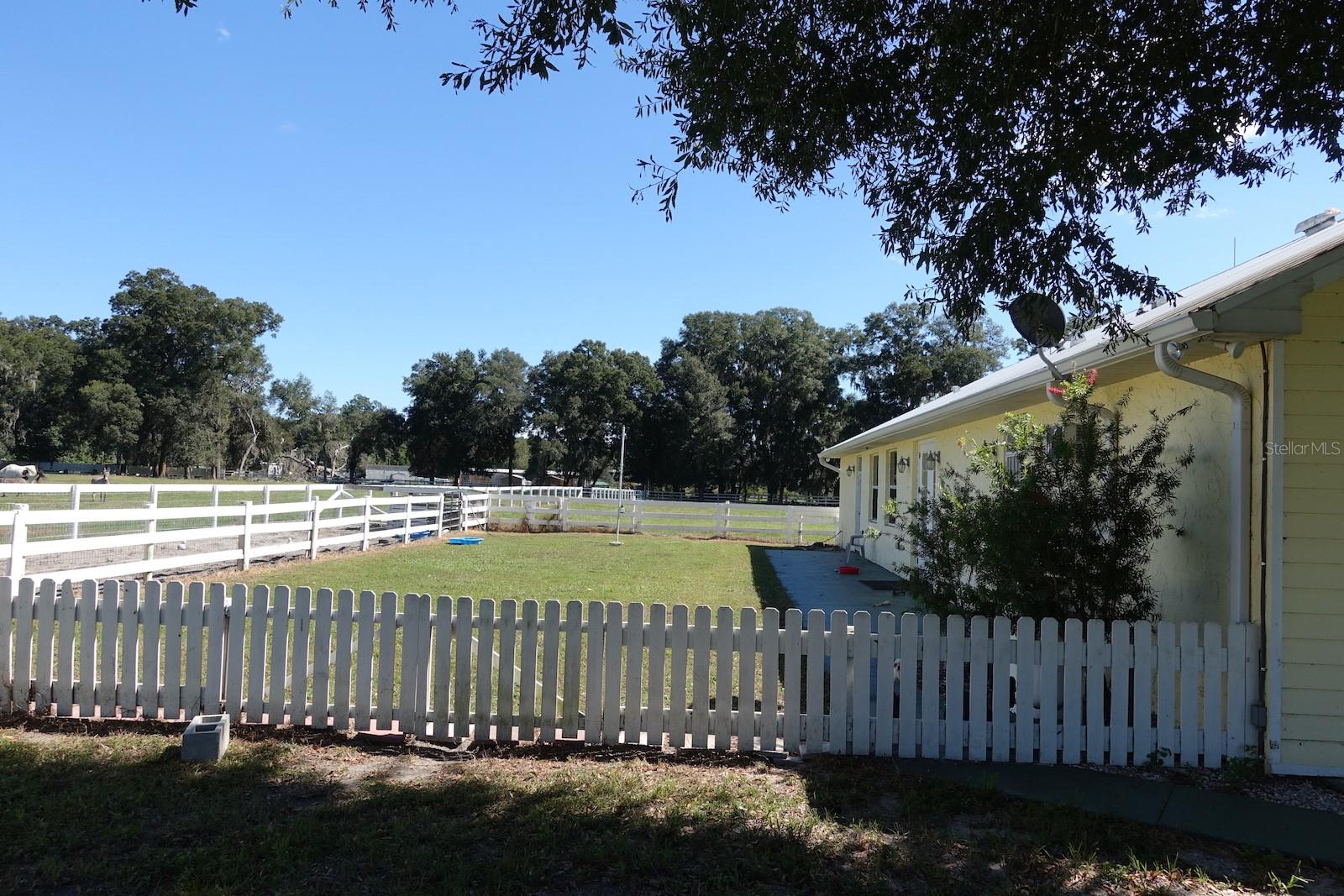 SUMMERFIELD - Farm