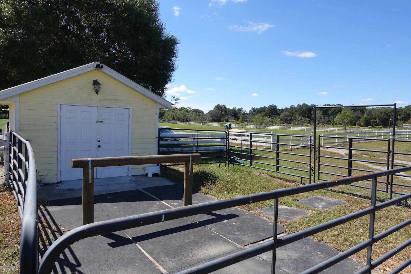 SUMMERFIELD - Farm