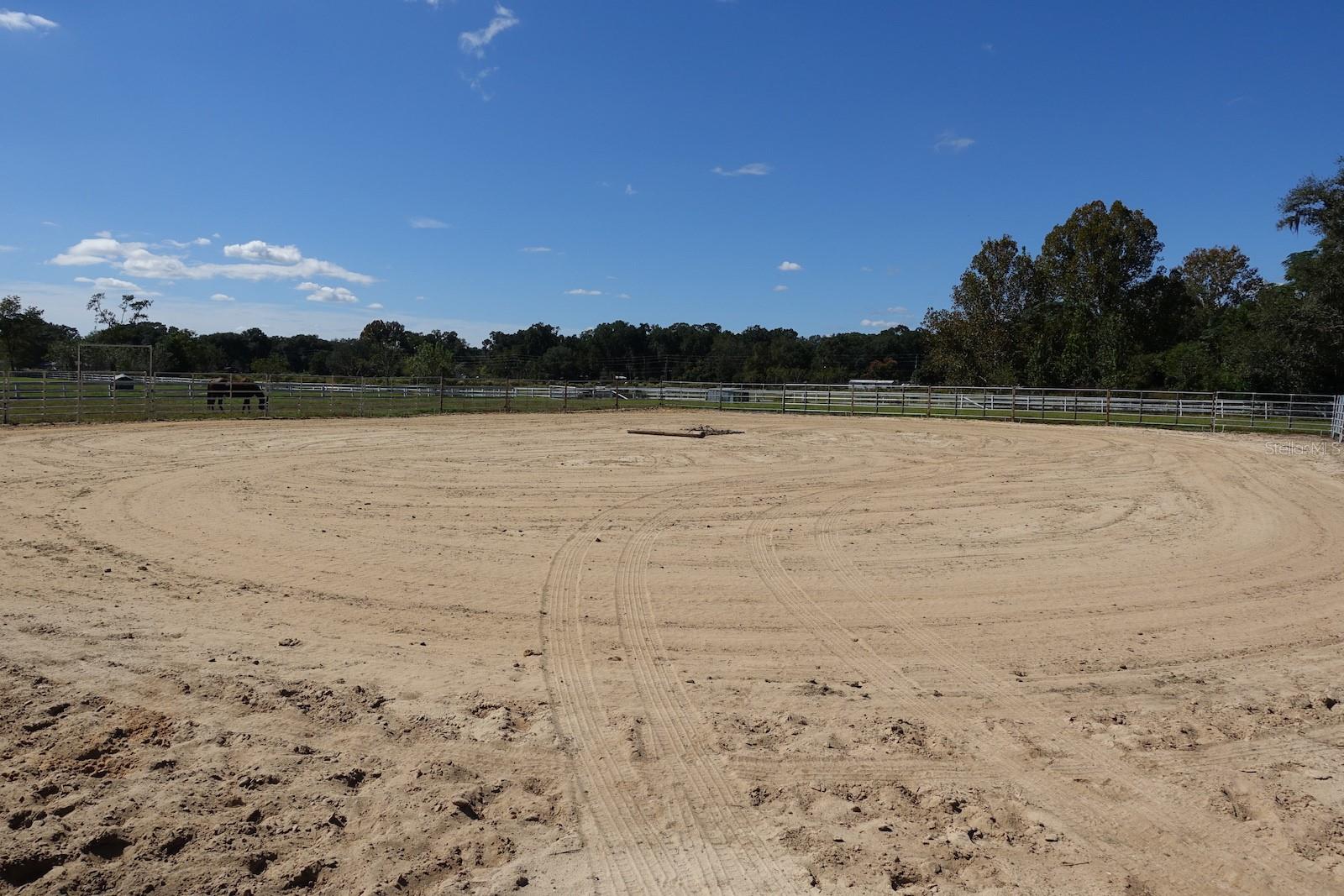 SUMMERFIELD - Farm