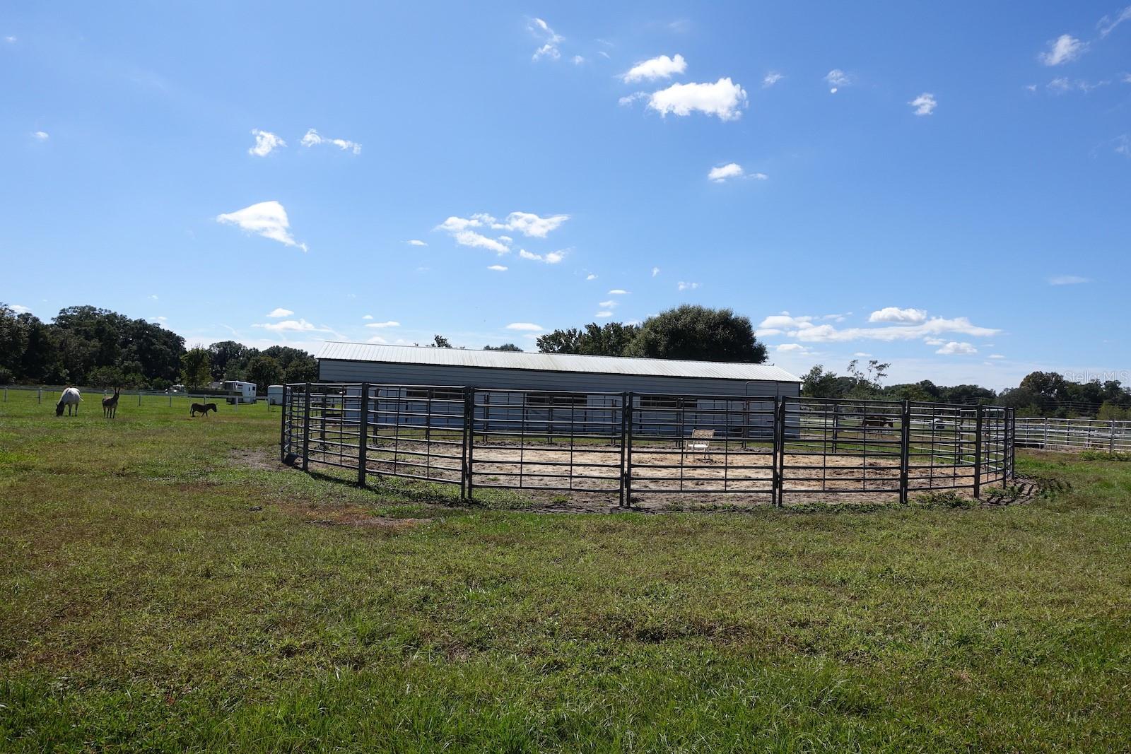 SUMMERFIELD - Farm