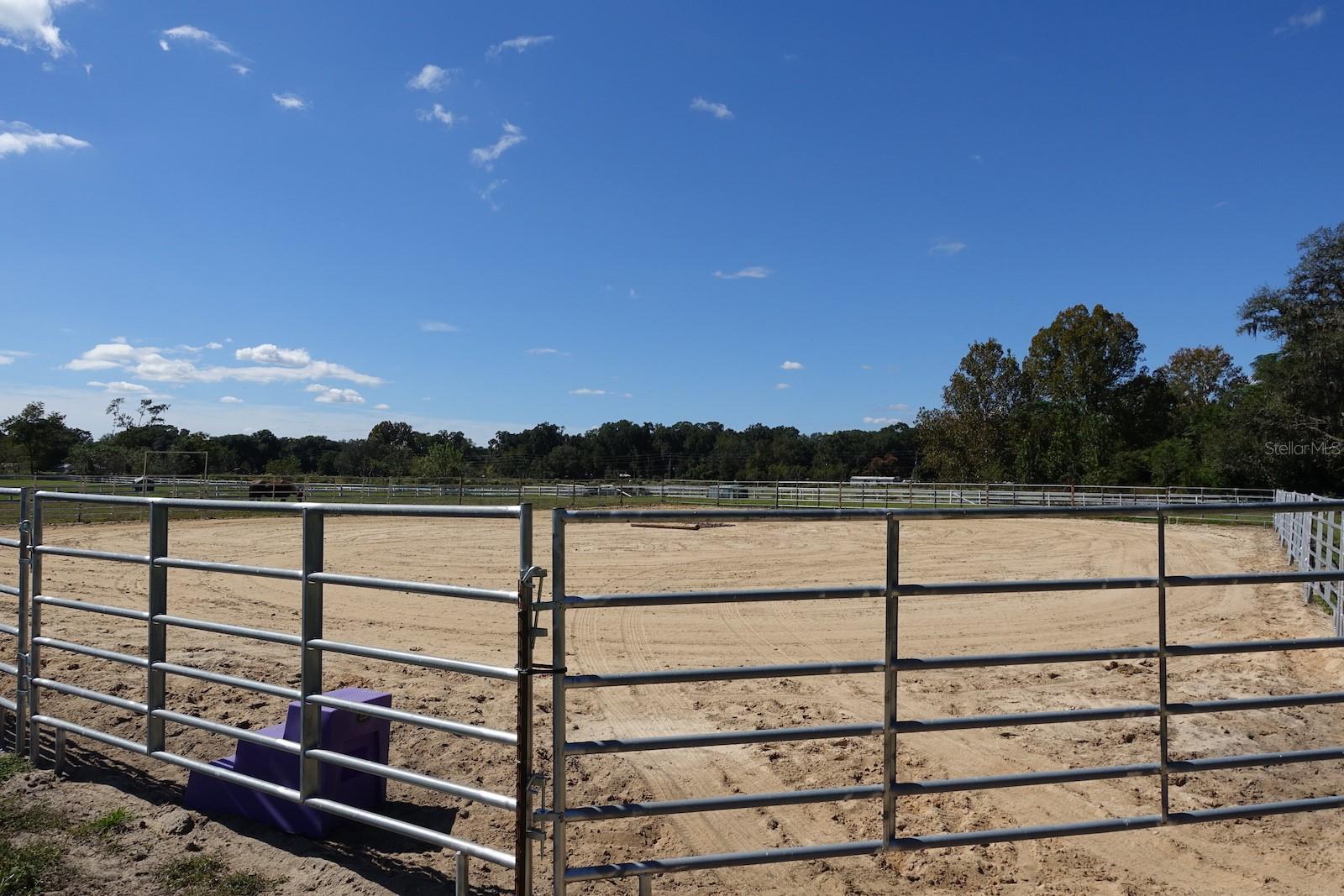 SUMMERFIELD - Farm
