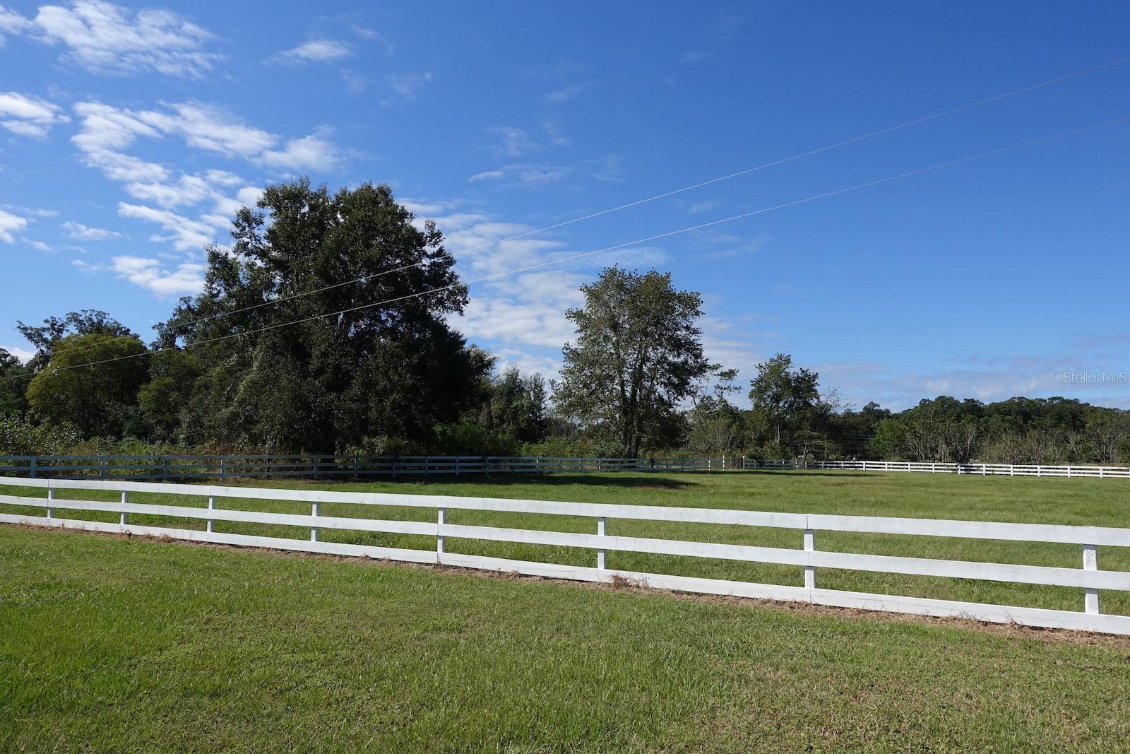 SUMMERFIELD - Farm