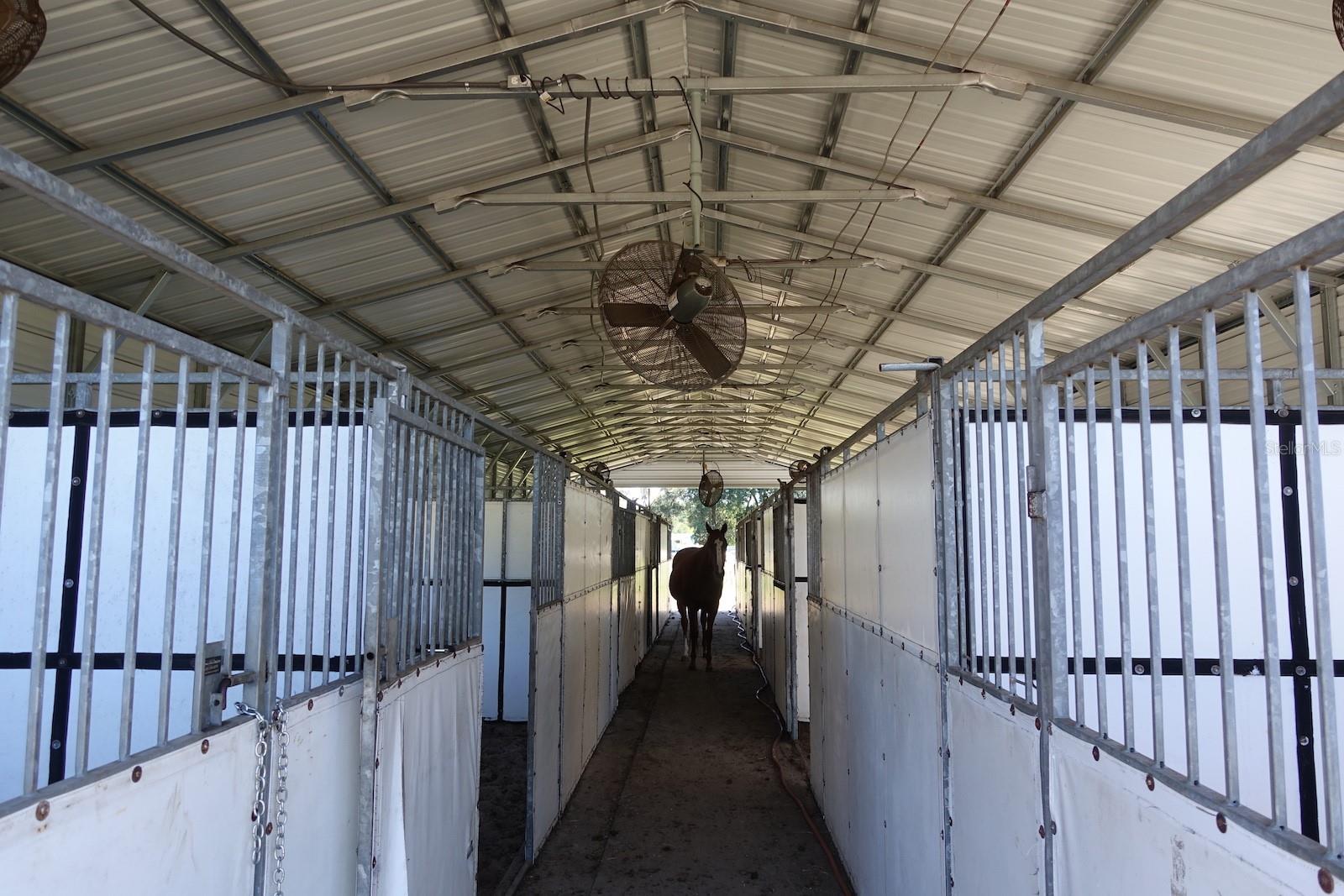 SUMMERFIELD - Farm