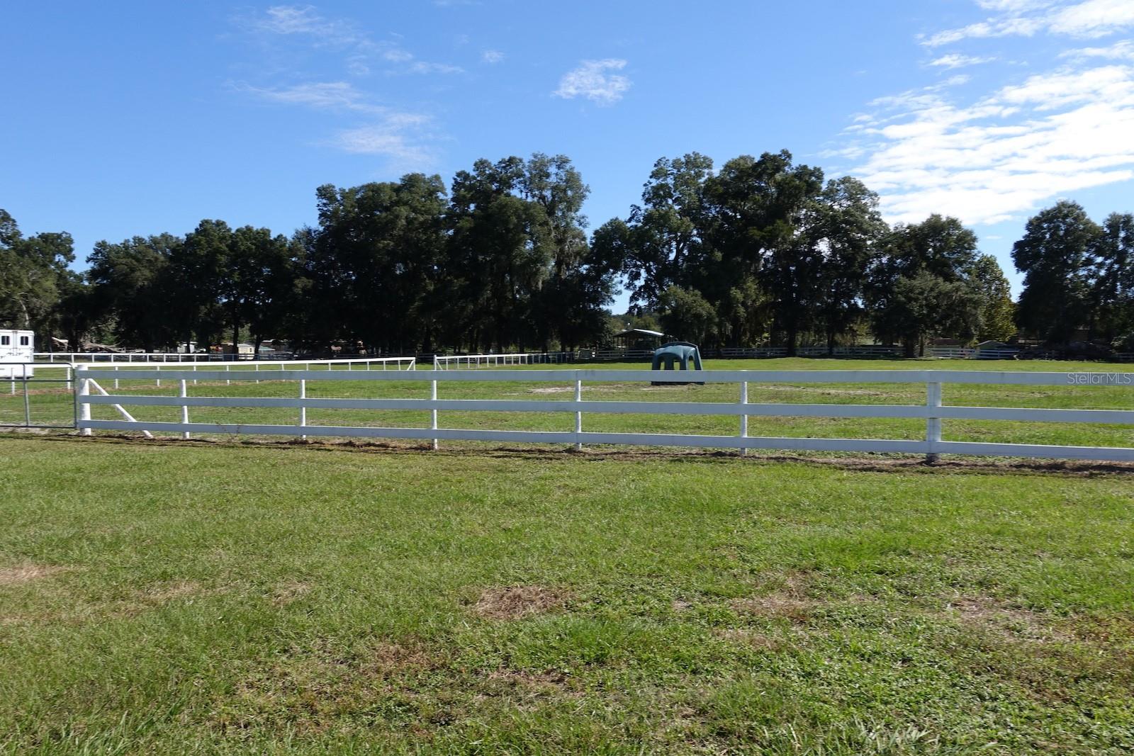 SUMMERFIELD - Farm