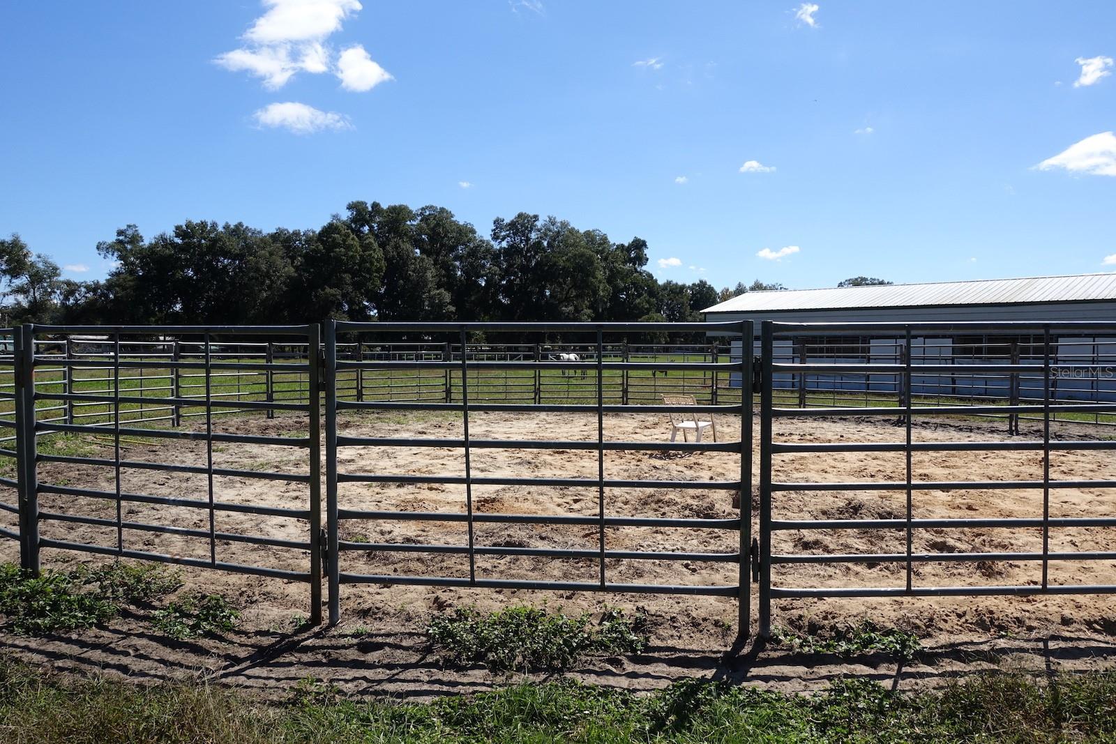 SUMMERFIELD - Farm