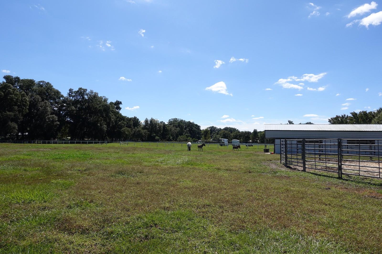 SUMMERFIELD - Farm