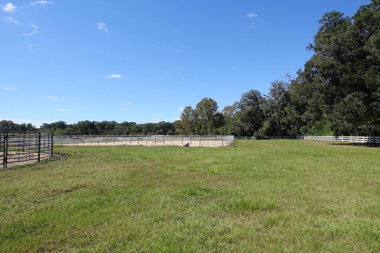 SUMMERFIELD - Farm
