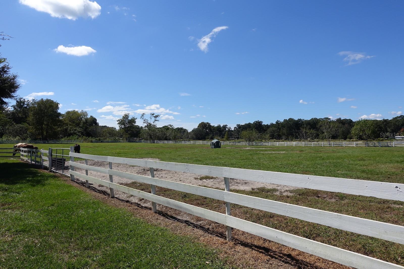 SUMMERFIELD - Farm