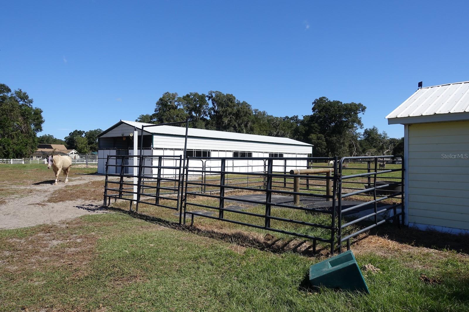 SUMMERFIELD - Farm