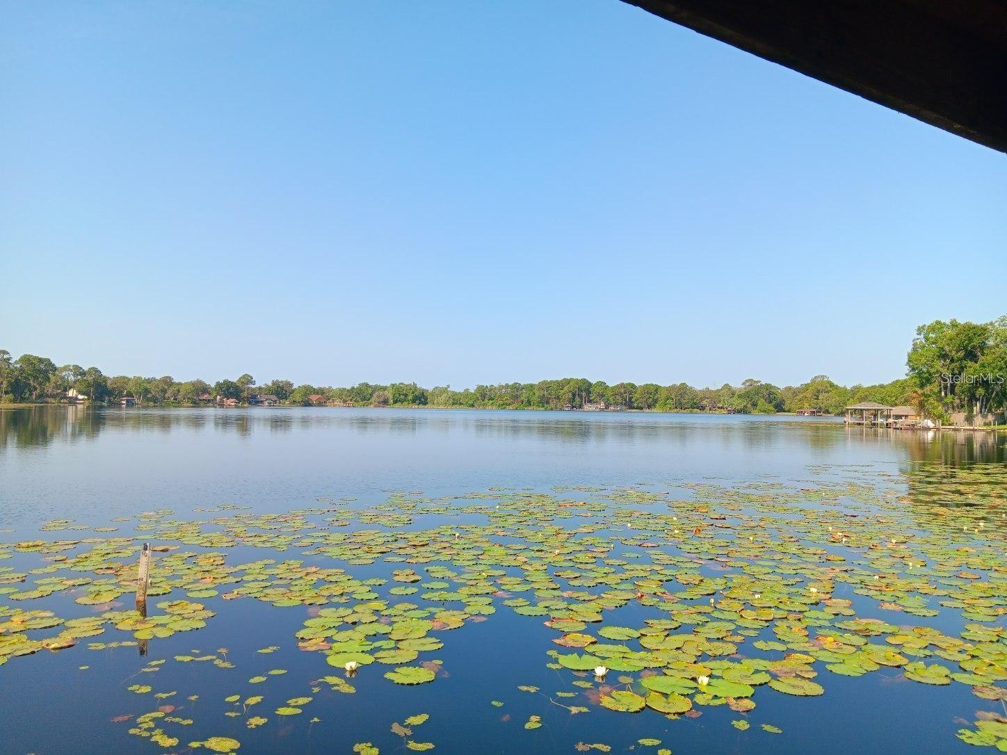 LAKES OF ALOMA PH 2 - Residential